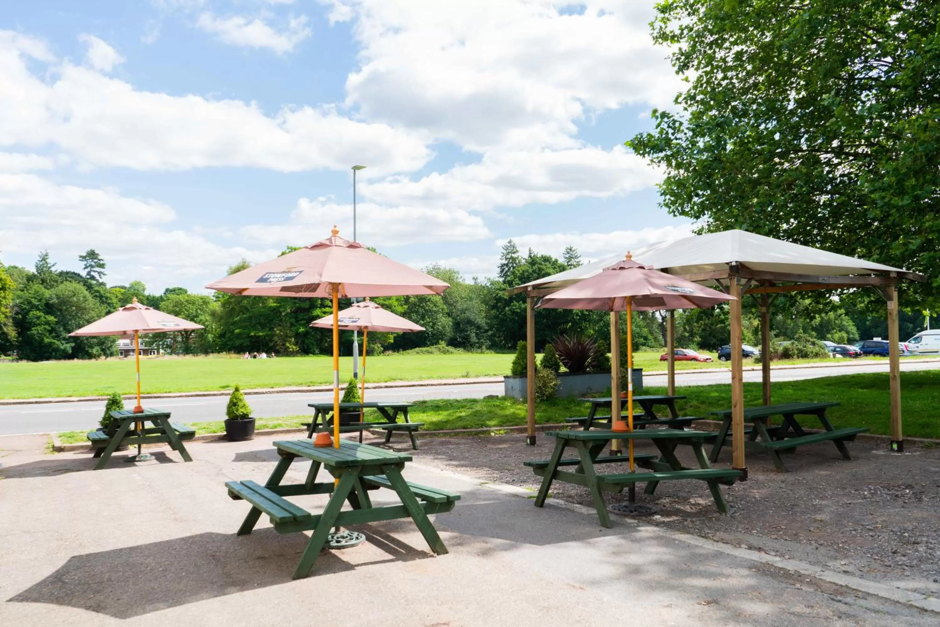 Garden in The Silver Cup