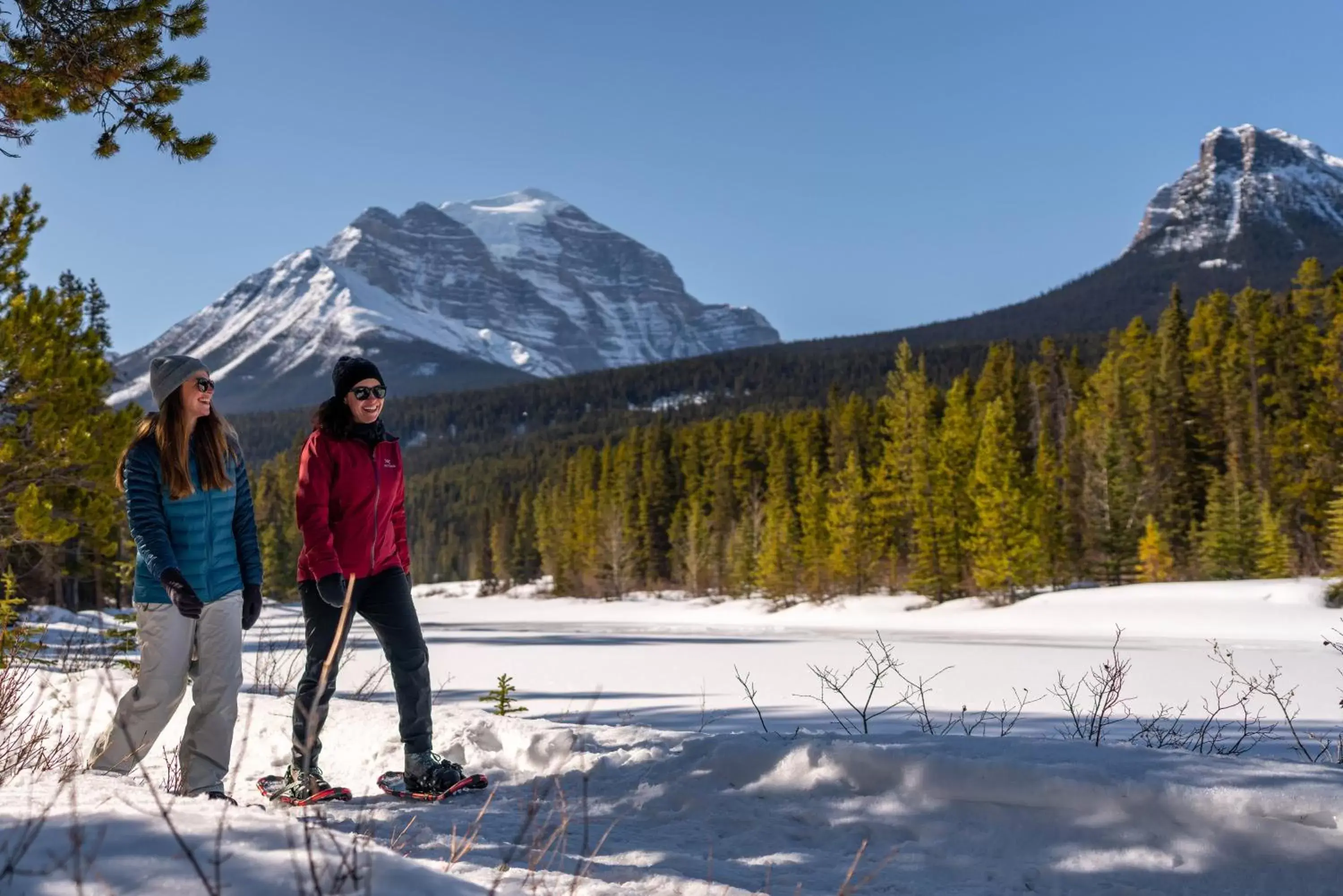 Area and facilities in Lake Louise Inn