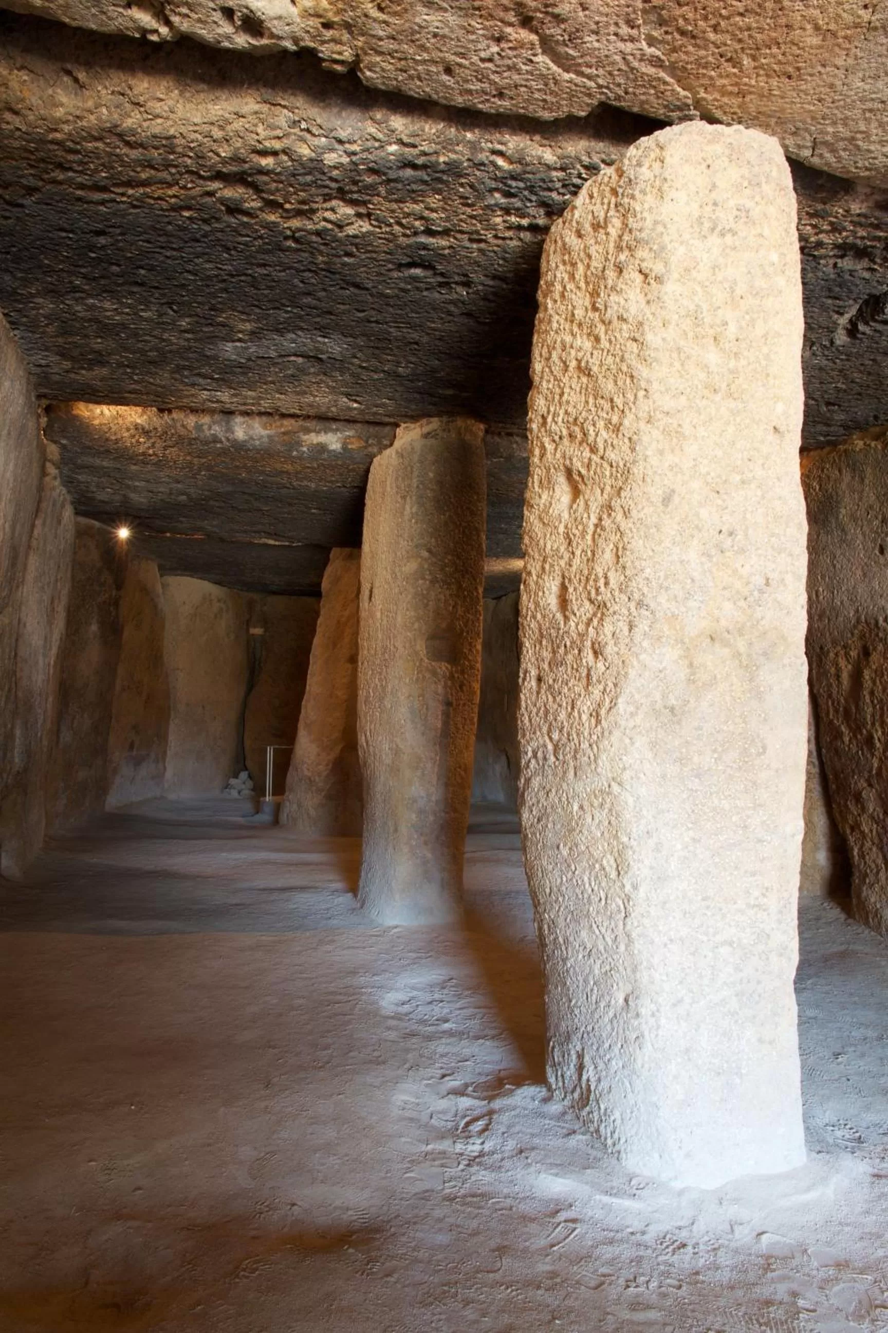 Area and facilities in Los Dólmenes