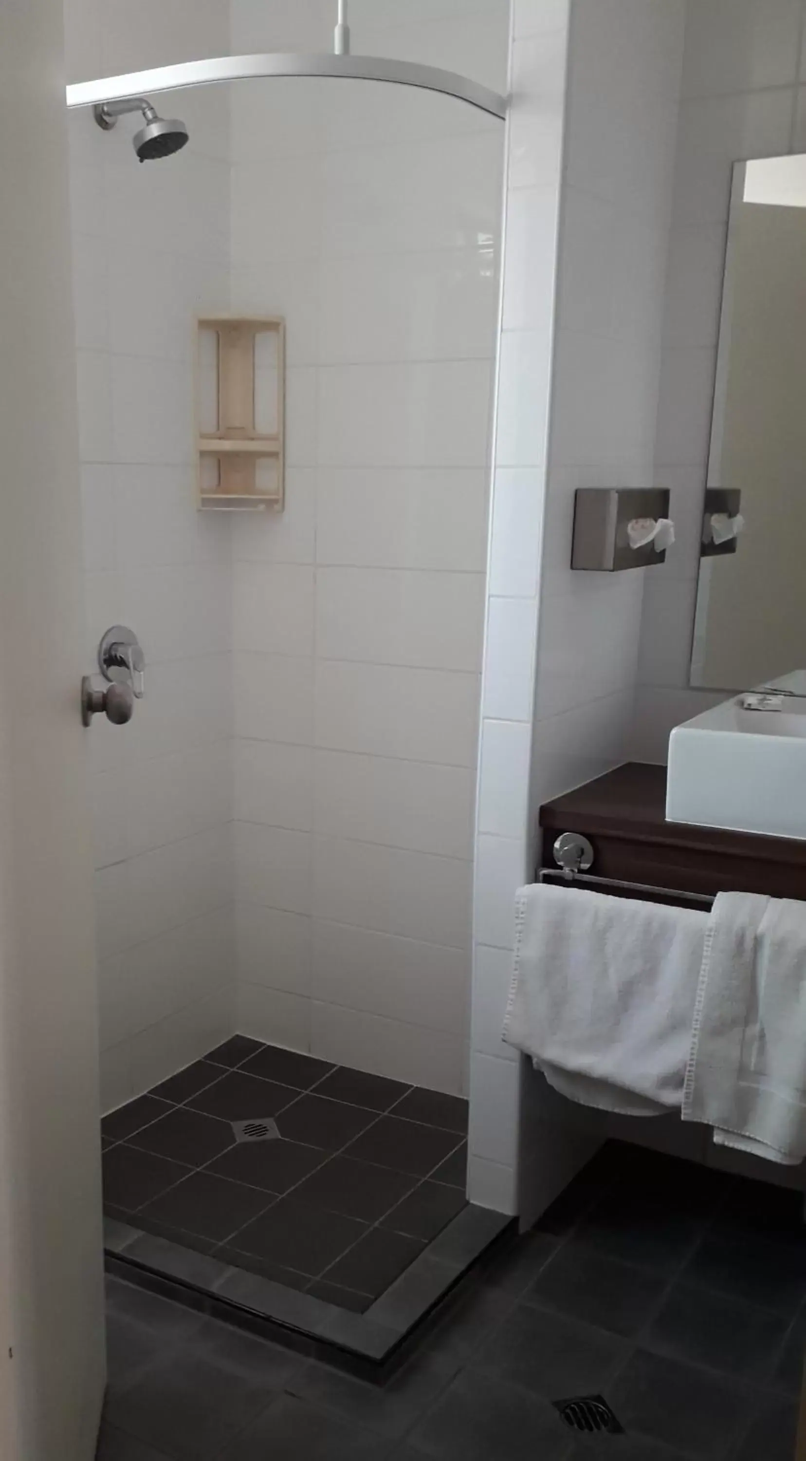 Shower, Bathroom in Daydream Motel and Apartments