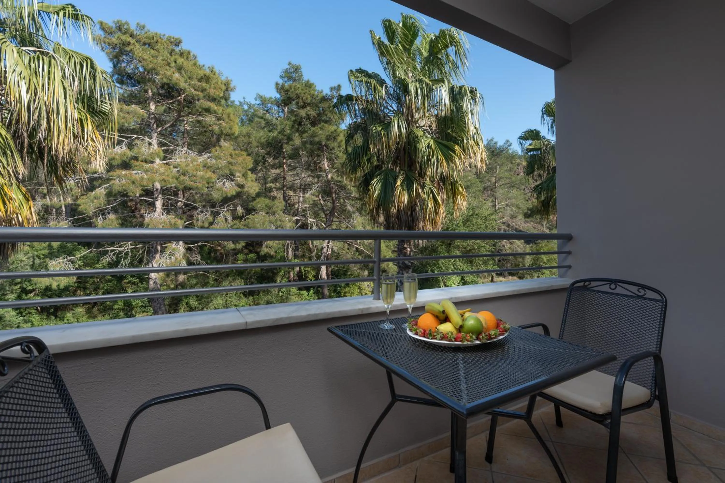 Garden view, Balcony/Terrace in Grand Viking Hotel