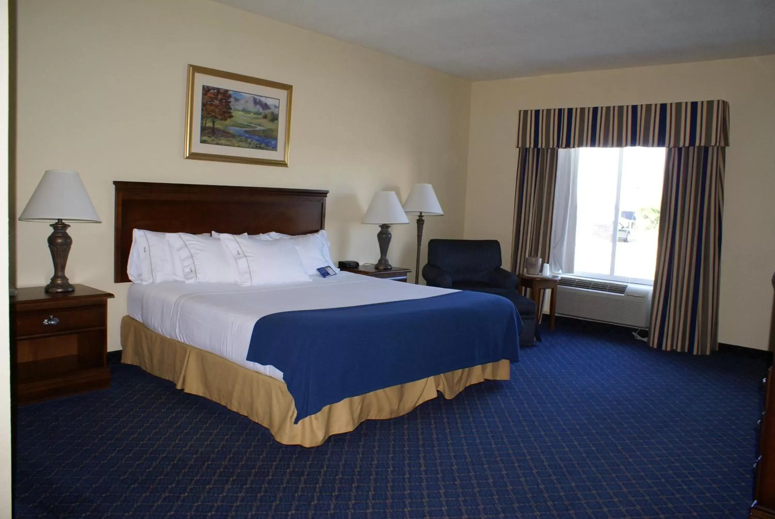 Photo of the whole room, Bed in Holiday Inn Express Hotels & Suites Mountain Home, an IHG Hotel
