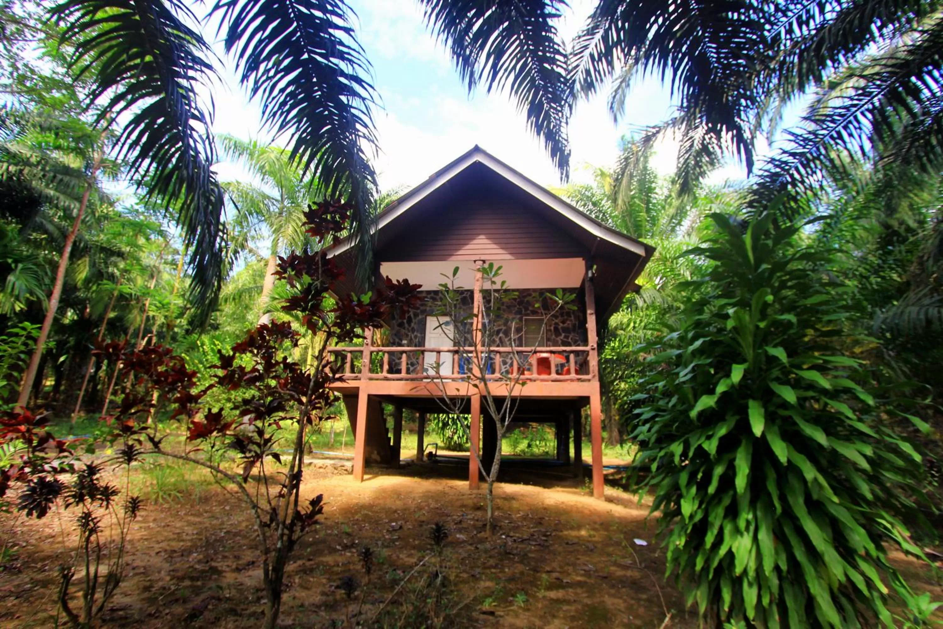 Khao Sok Palmview Resort