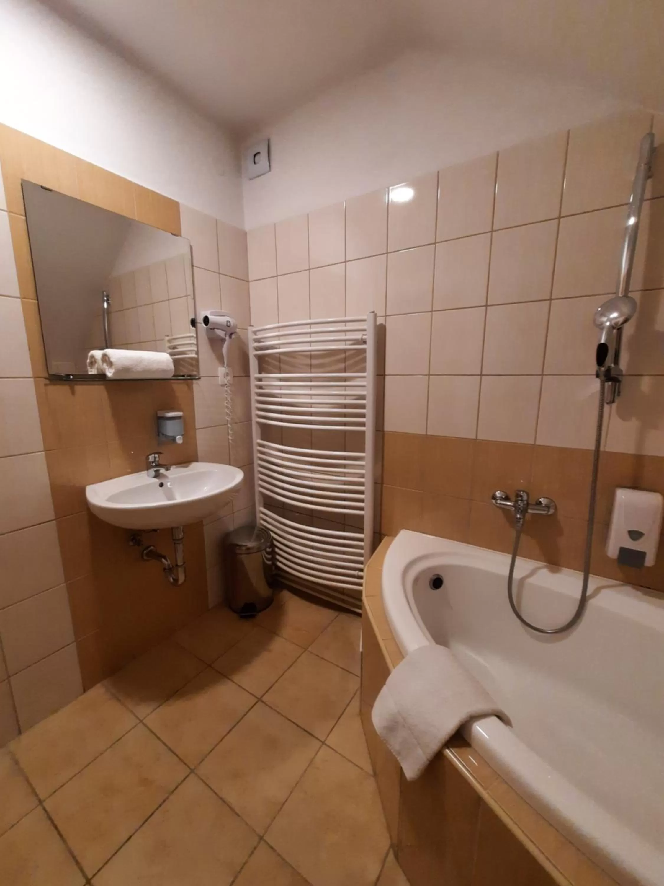 Bathroom in Hotel Boršičanka