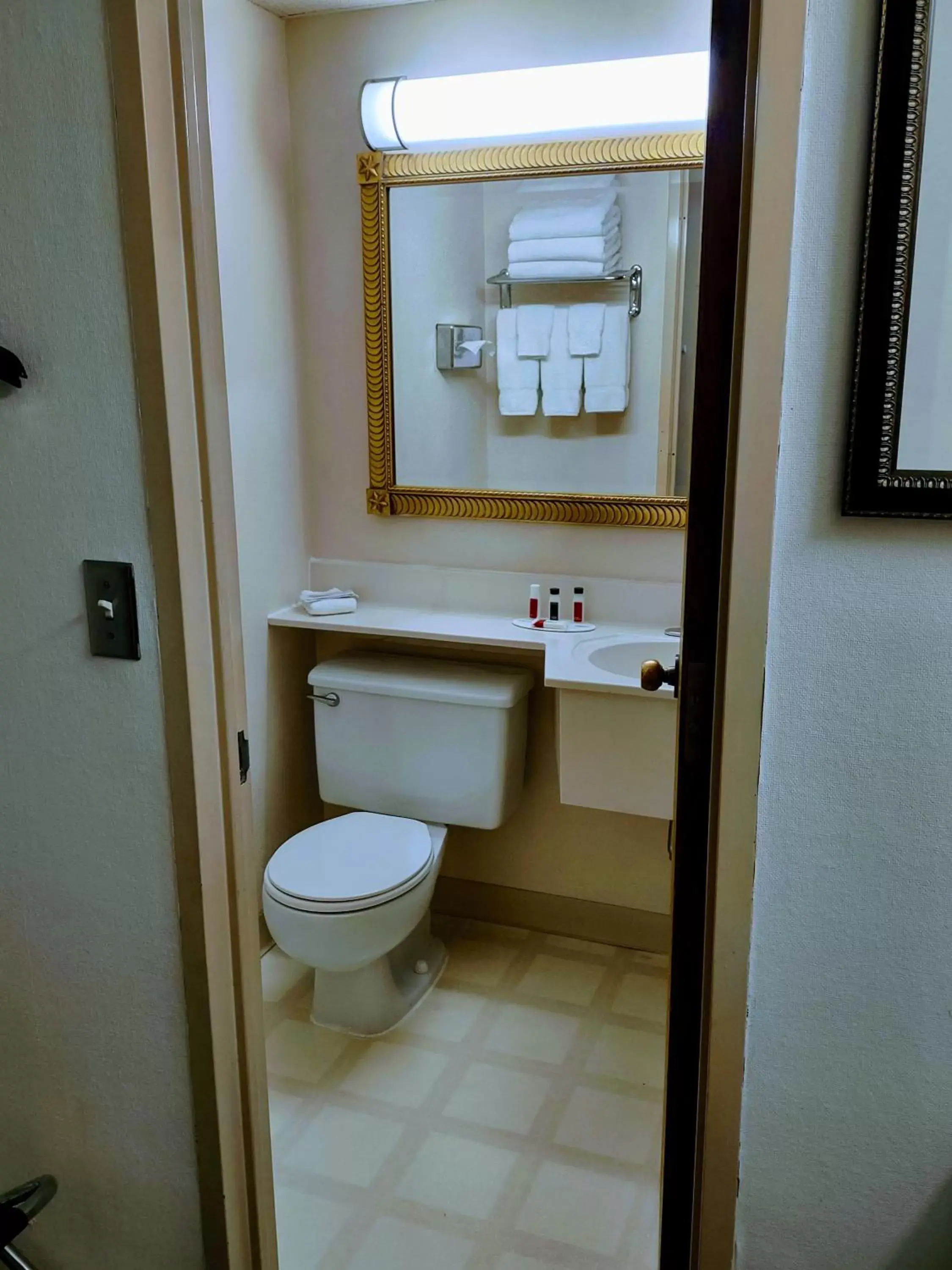 Bathroom in Ramada by Wyndham Albert Lea