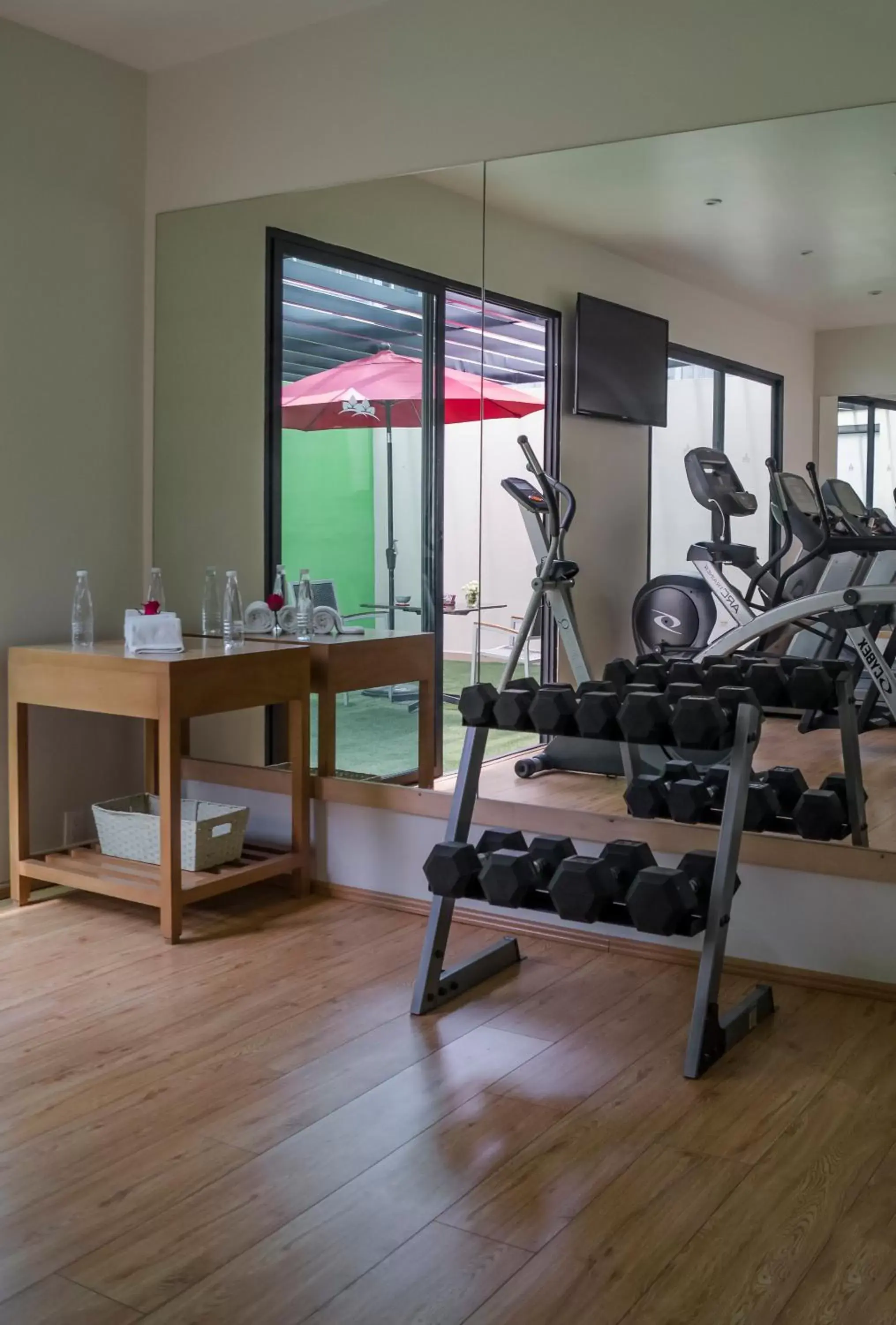 Fitness centre/facilities, Fitness Center/Facilities in Alteza Polanco