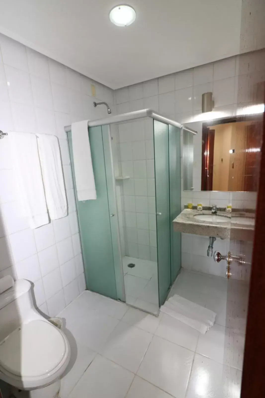 Bathroom in Carlton Plaza São José dos Campos Bathroom in Carlton Plaza São José dos Campos