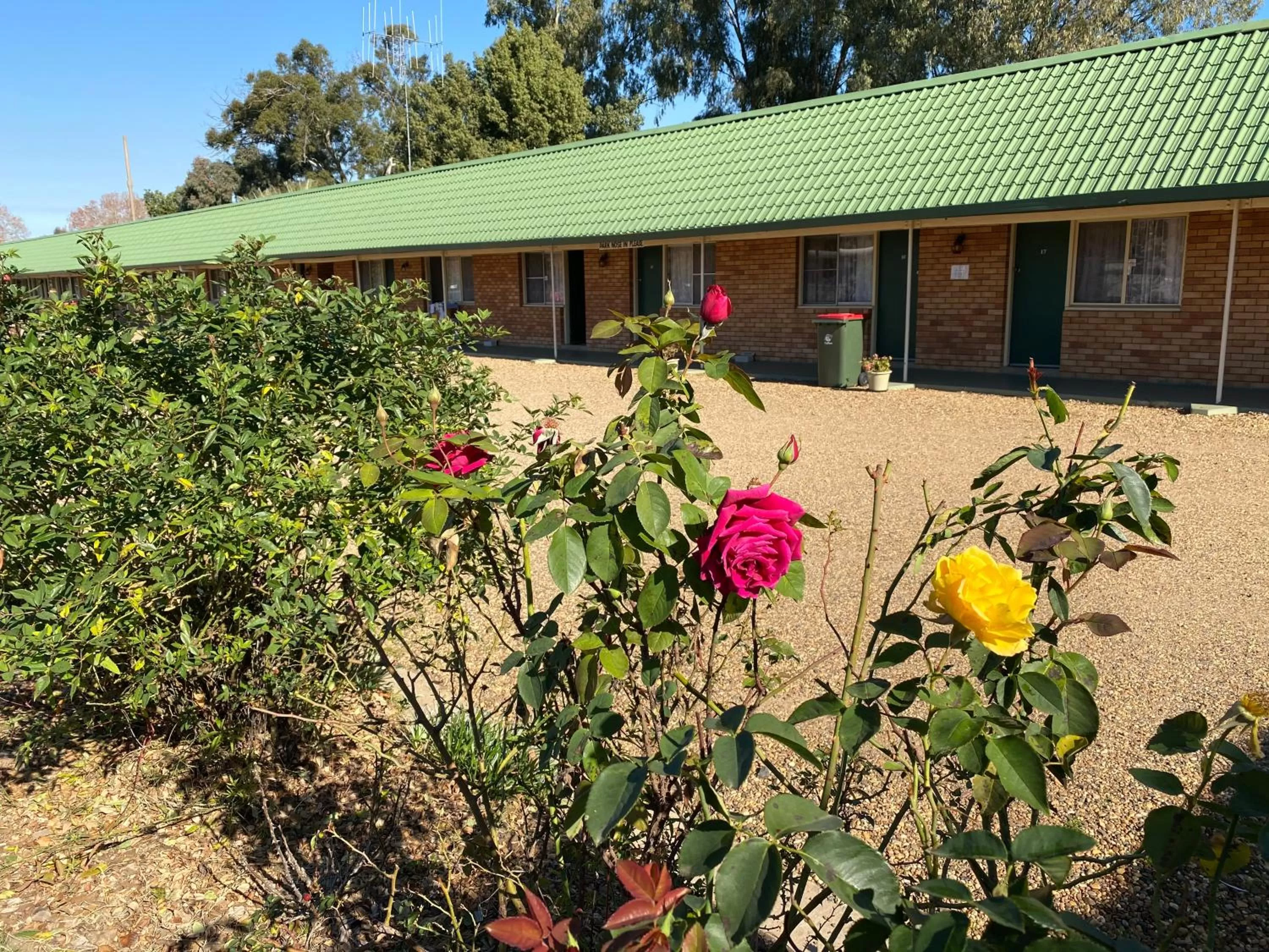 Area and facilities in Bridge Motel Wellington