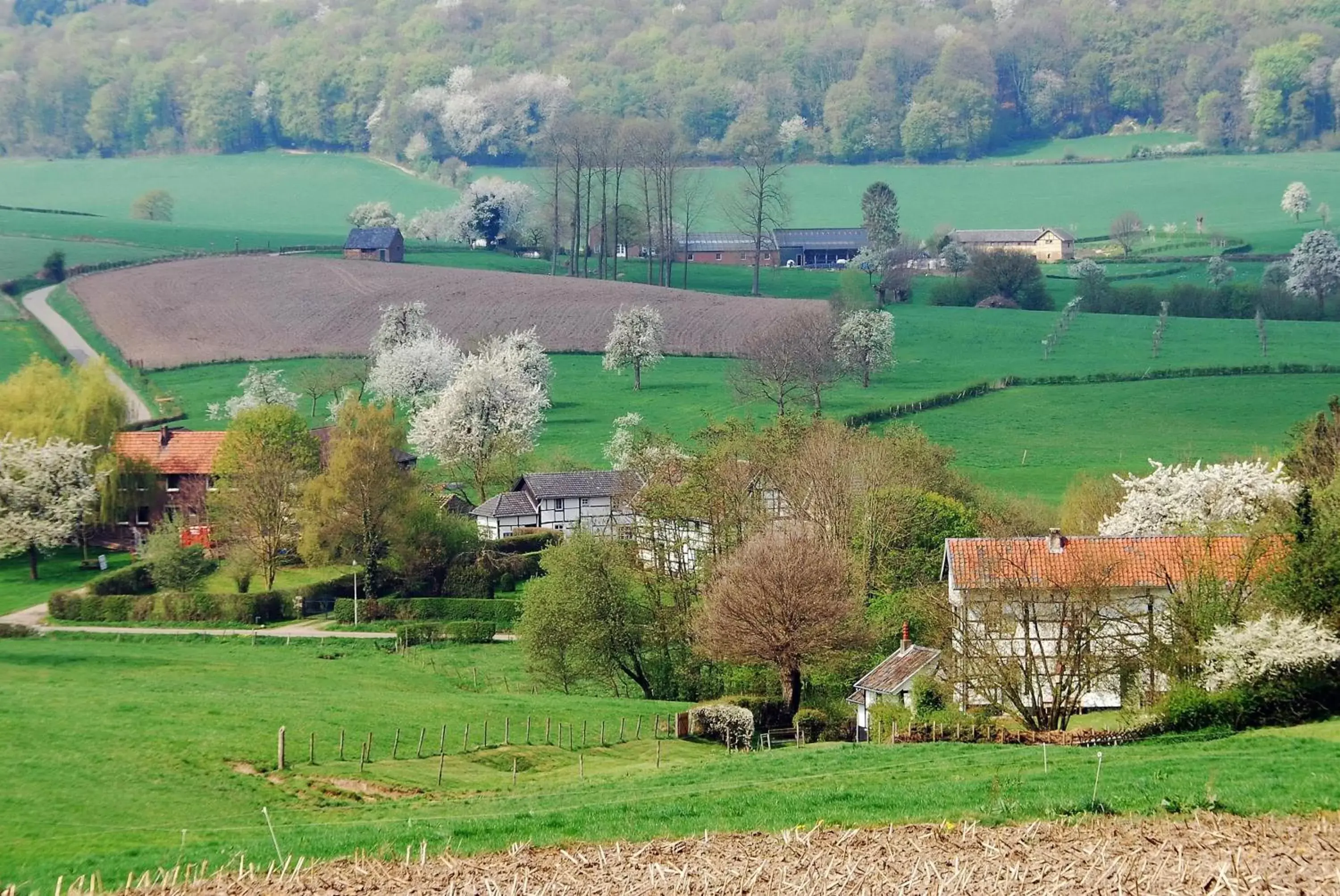 Natural landscape in Fletcher Hotel-Restaurant Parkstad- Zuid Limburg