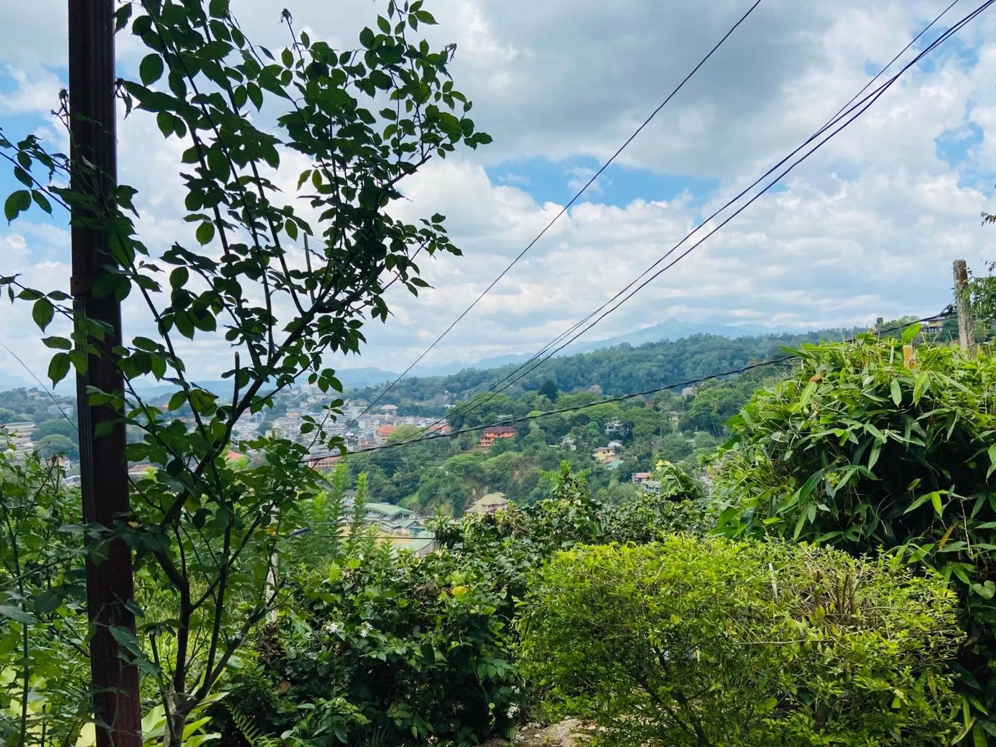 Mountain View in Mount Palace