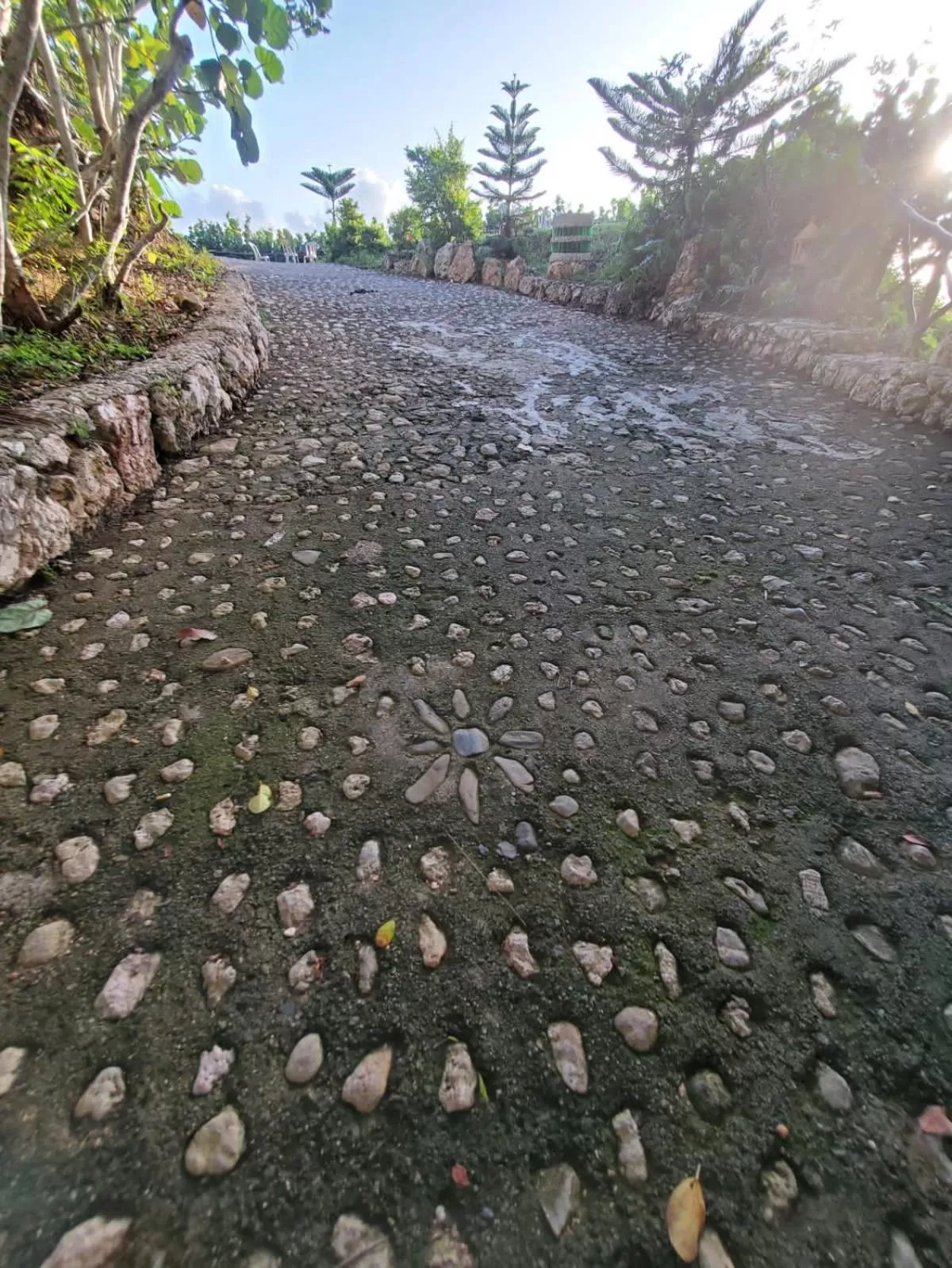 Patio in Altos de Caño Hondo