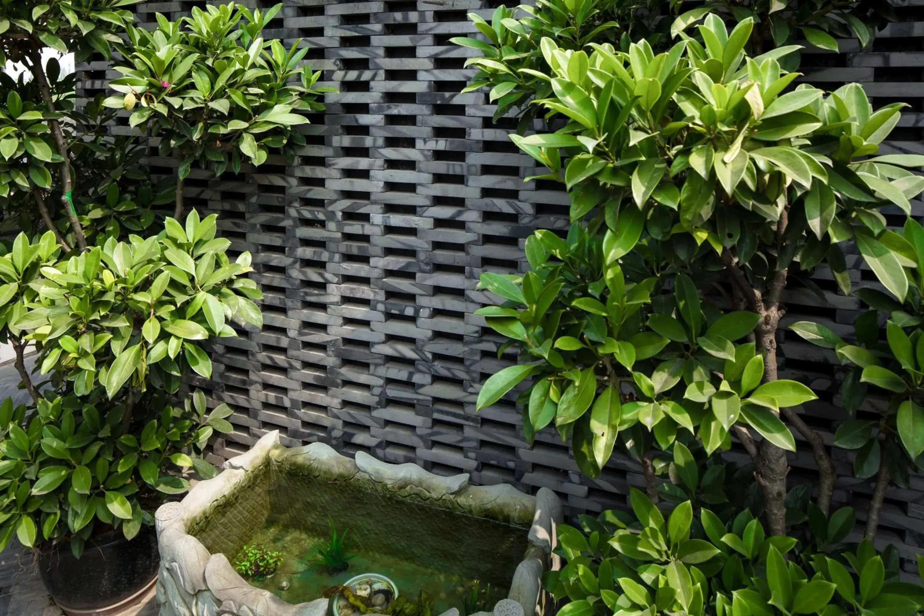 Garden, Spa/Wellness in Buddhazen Hotel