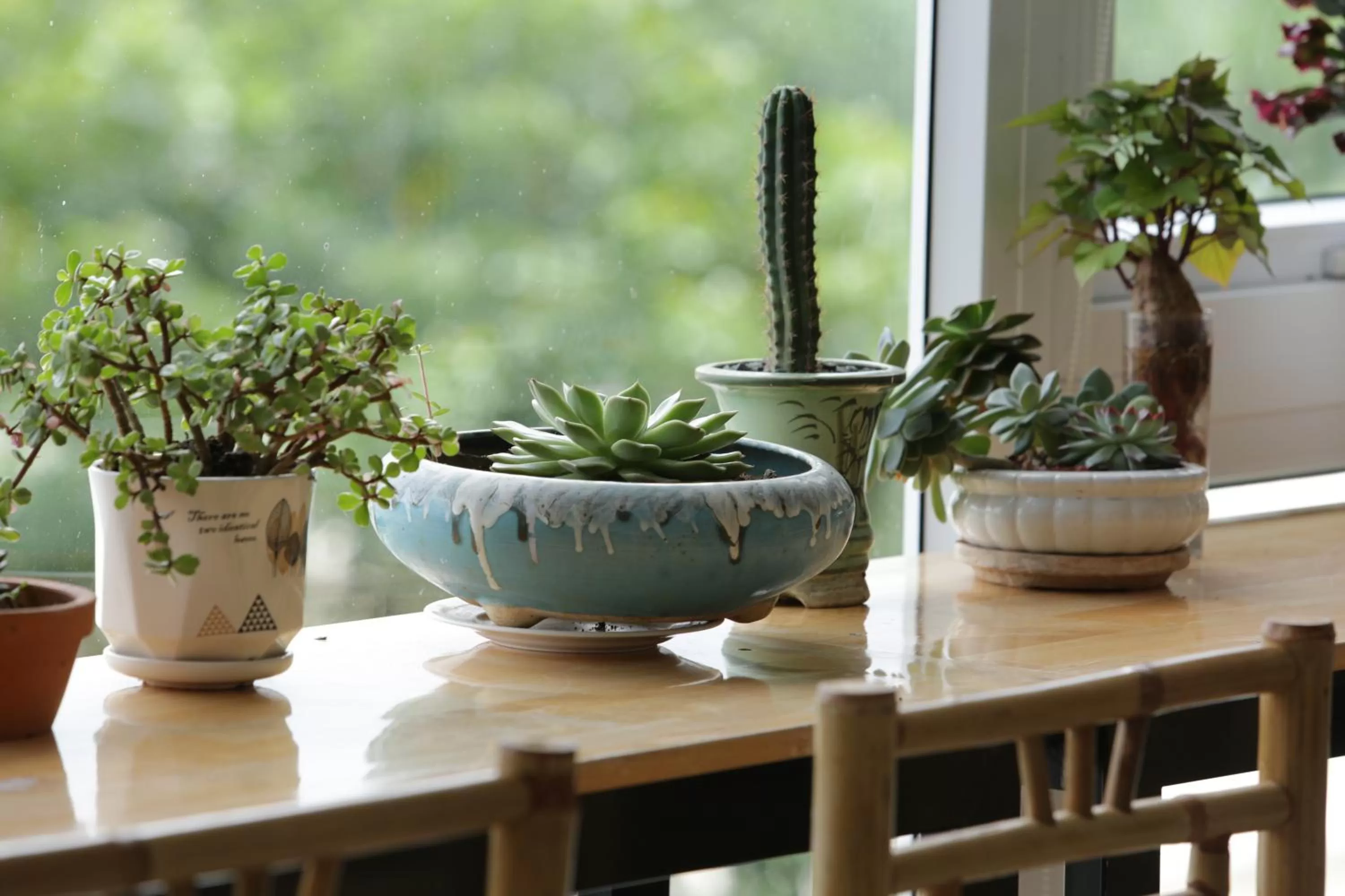 Communal lounge/ TV room in Starview Villa Dalat