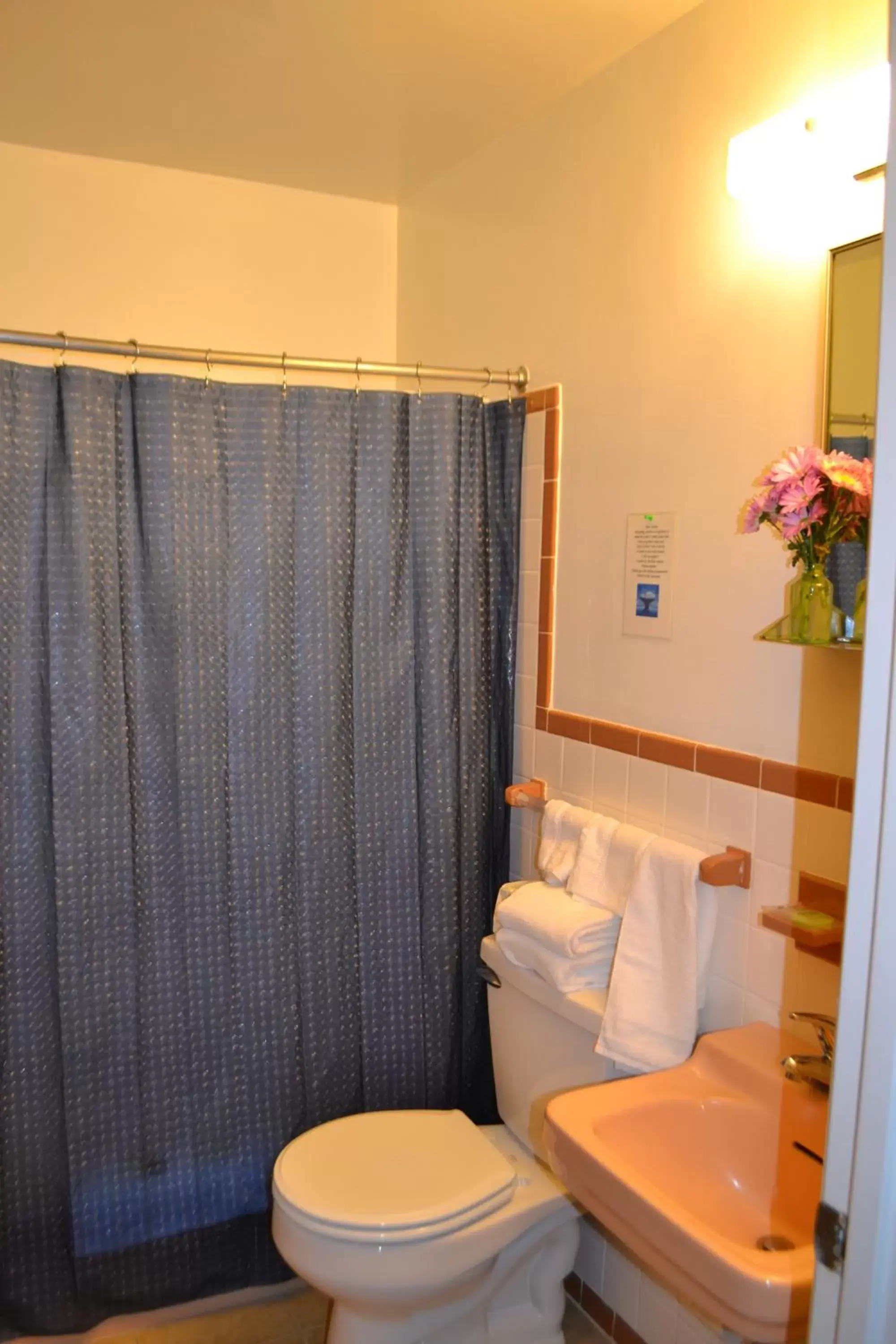 Bathroom in Wachapreague Inn - Motel Rooms