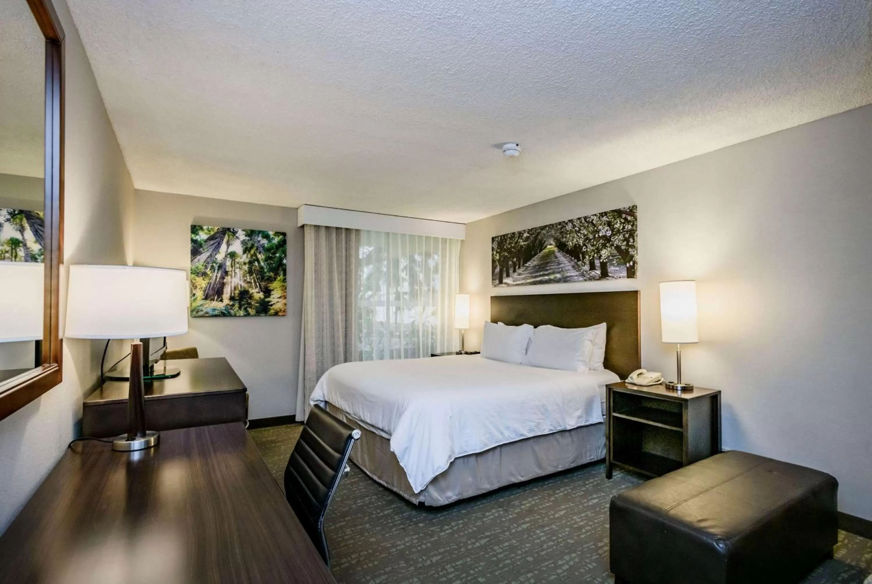 Photo of the whole room, Bed in Wyndham Garden Fresno Yosemite Airport
