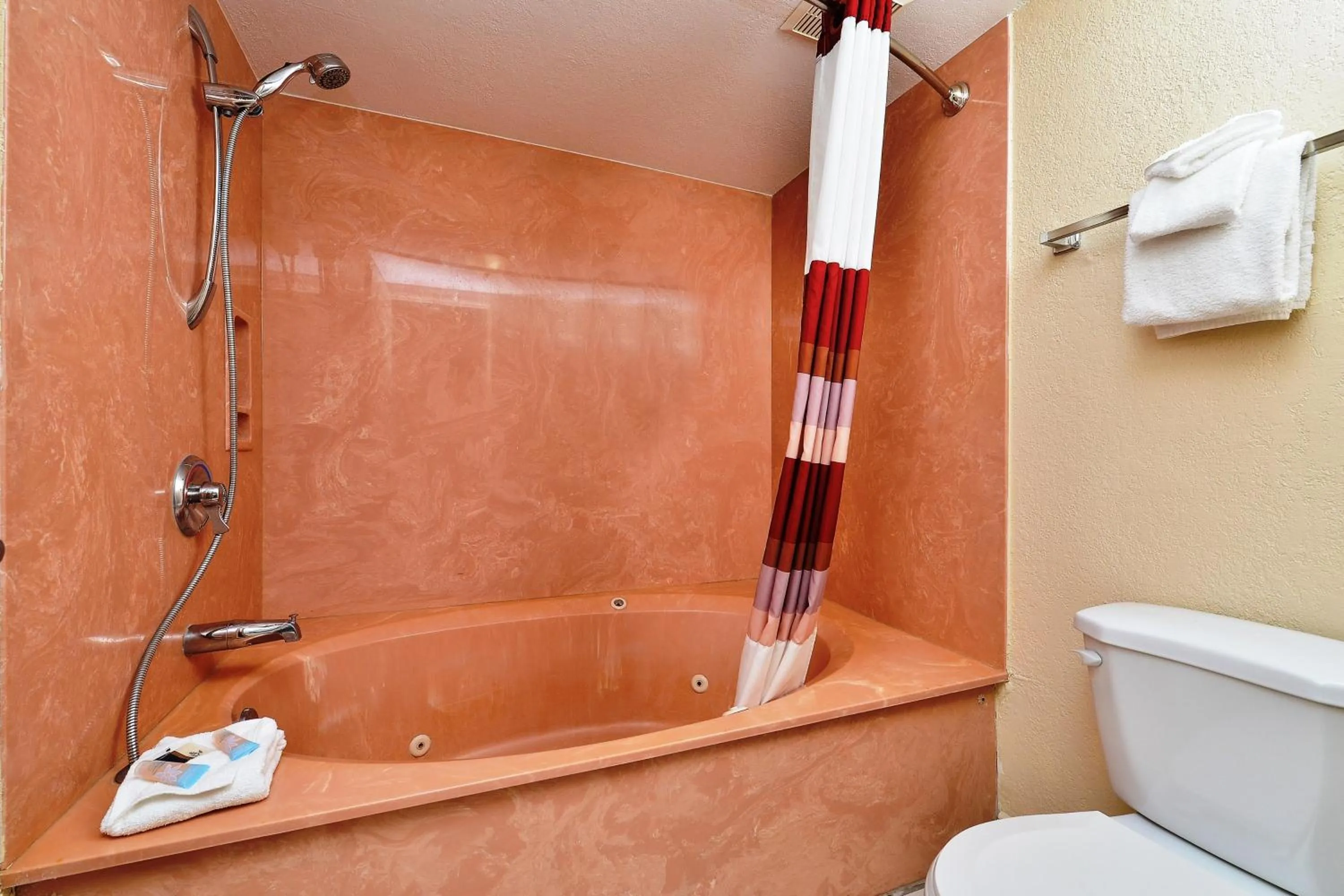 Bathroom in Red Roof Inn Orlando South - Florida Mall