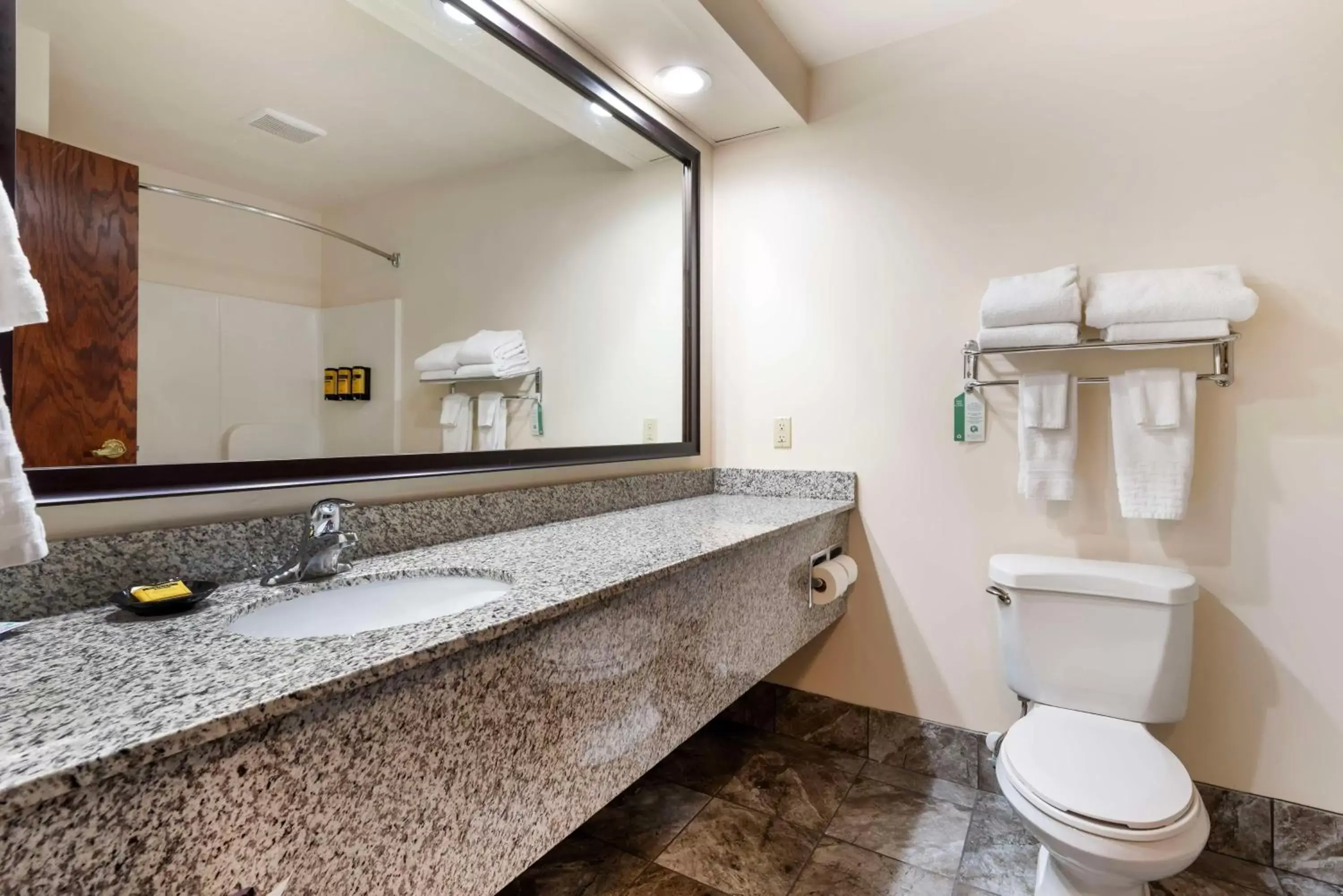 Bathroom in Best Western Plus Eau Claire Conference Center