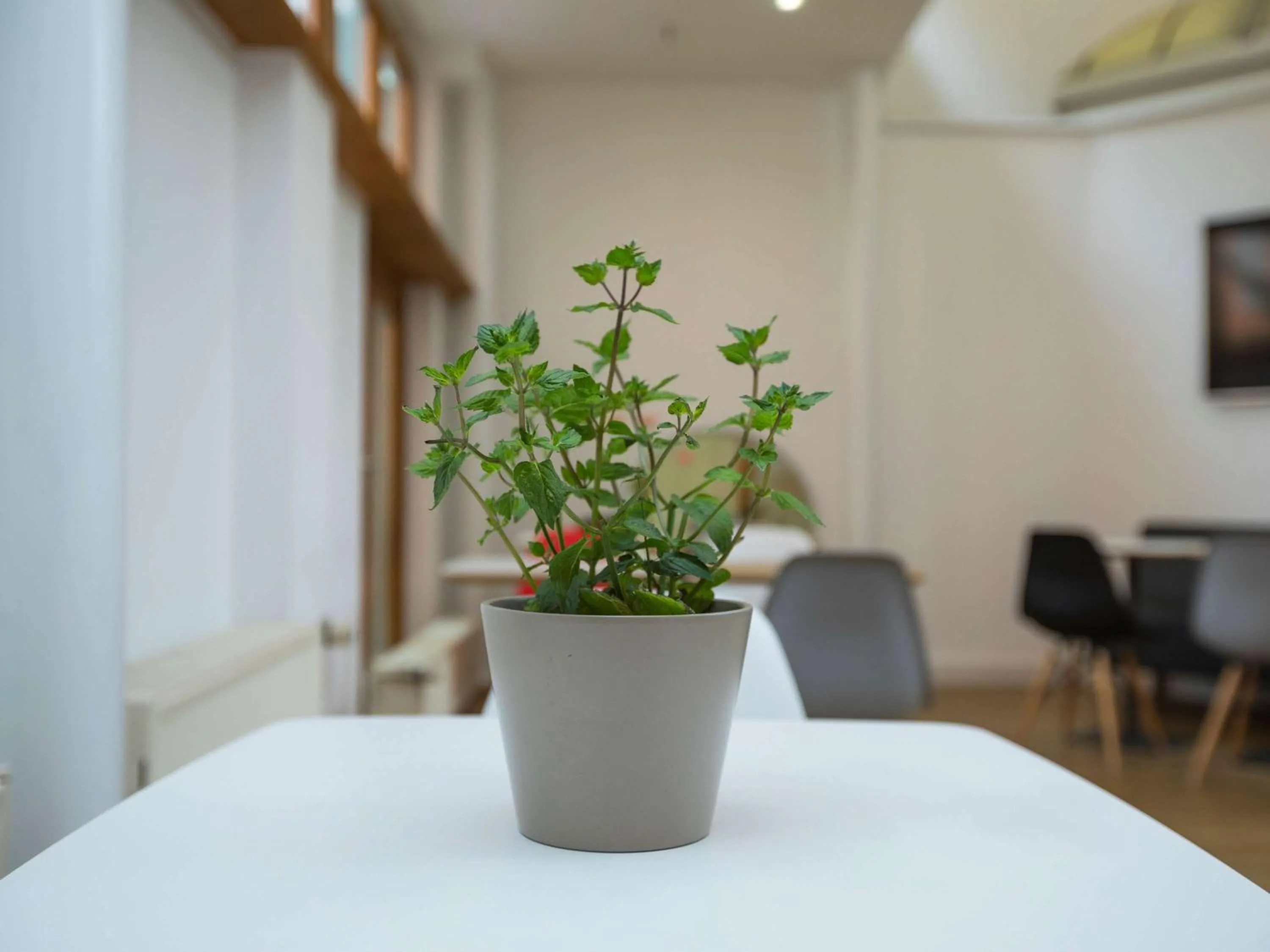 Restaurant/places to eat in ibis Berlin City Süd