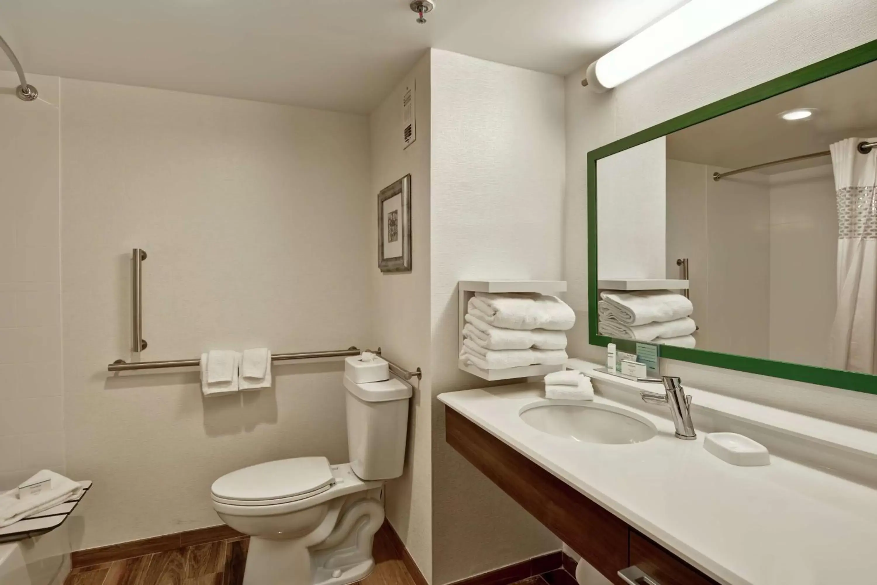 Bathroom in Hampton Inn Albany-Wolf Road