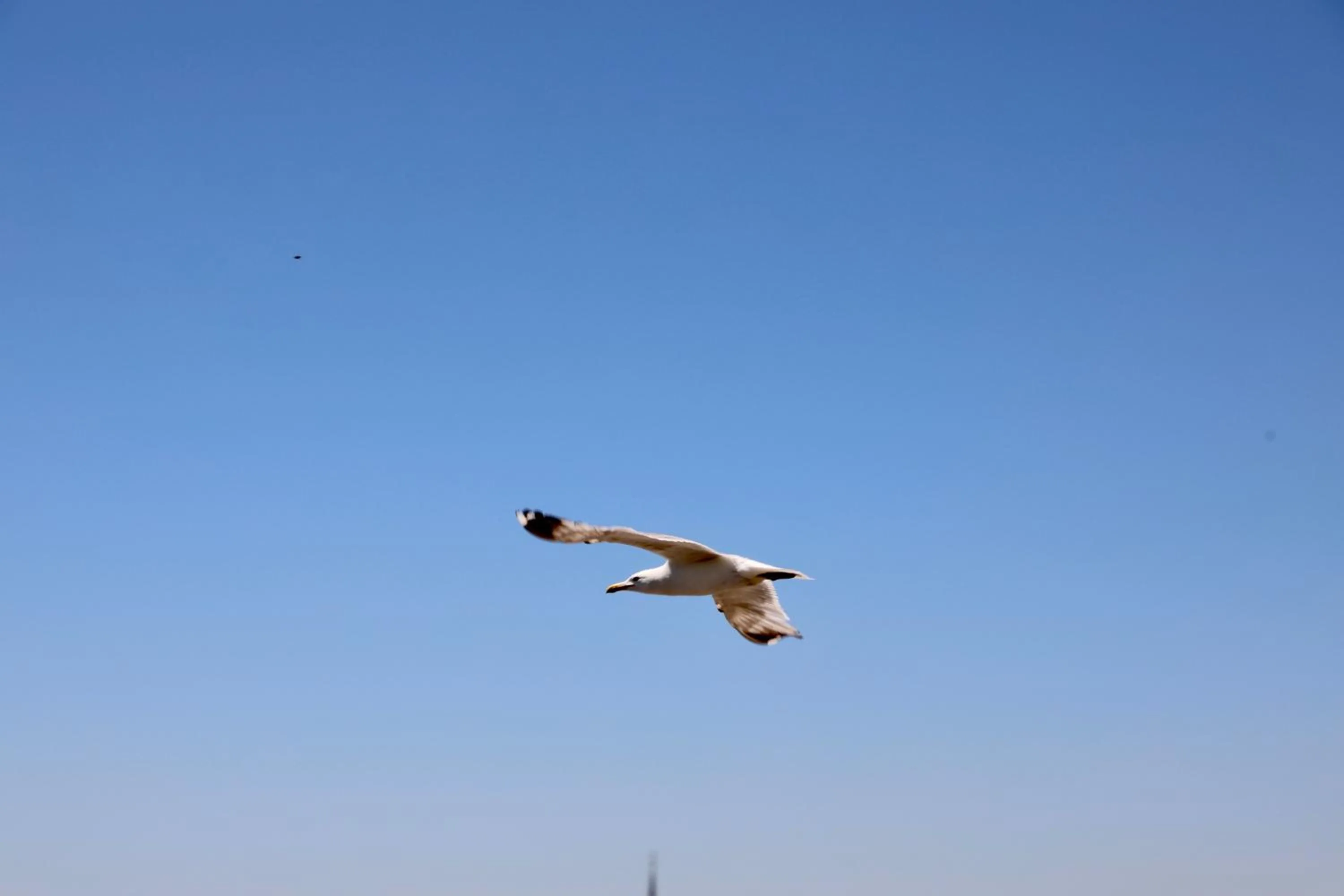 Day in Istanbul Royal Hotel