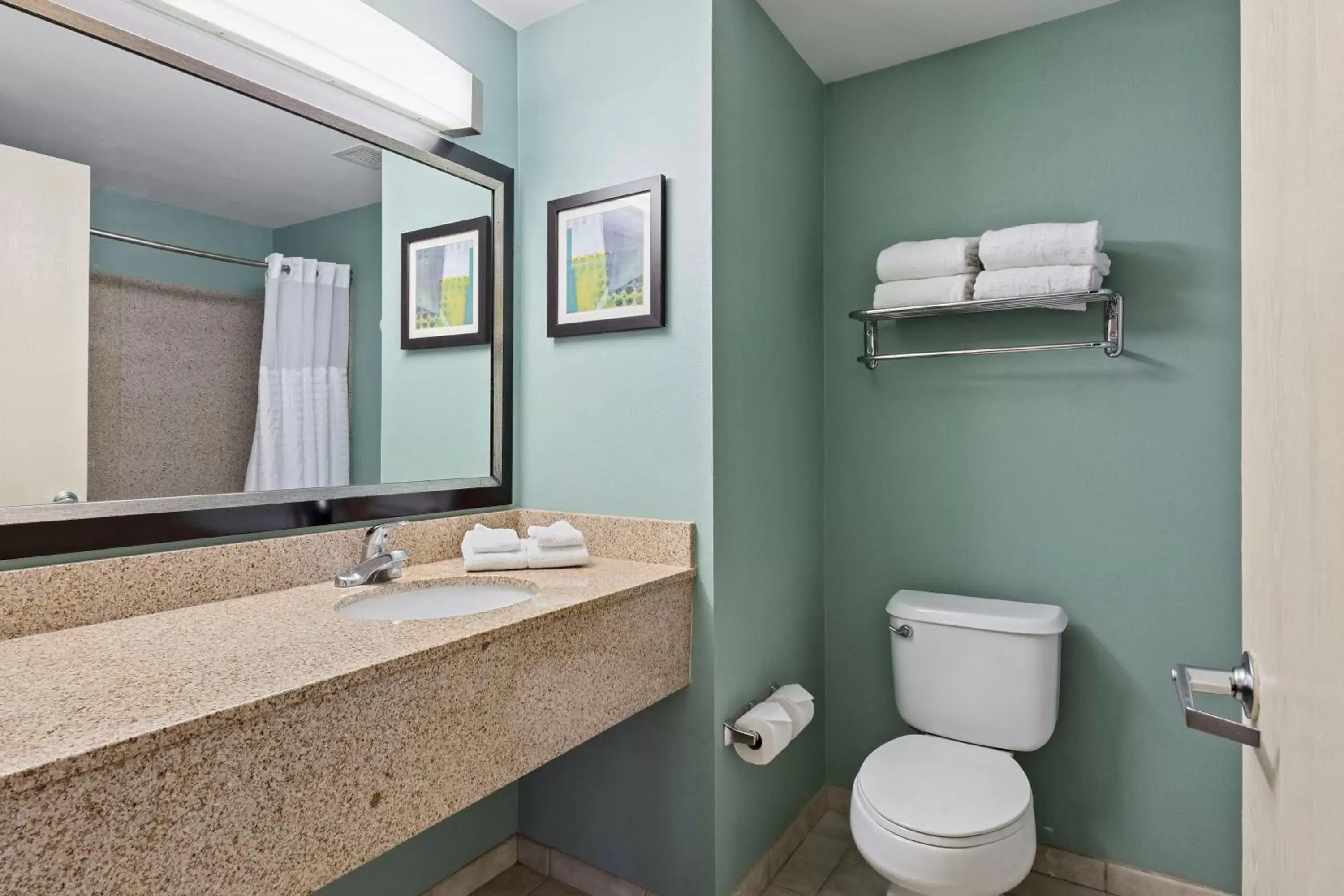 Bathroom in Extended Stay America Premier Suites - Lakeland - I-4