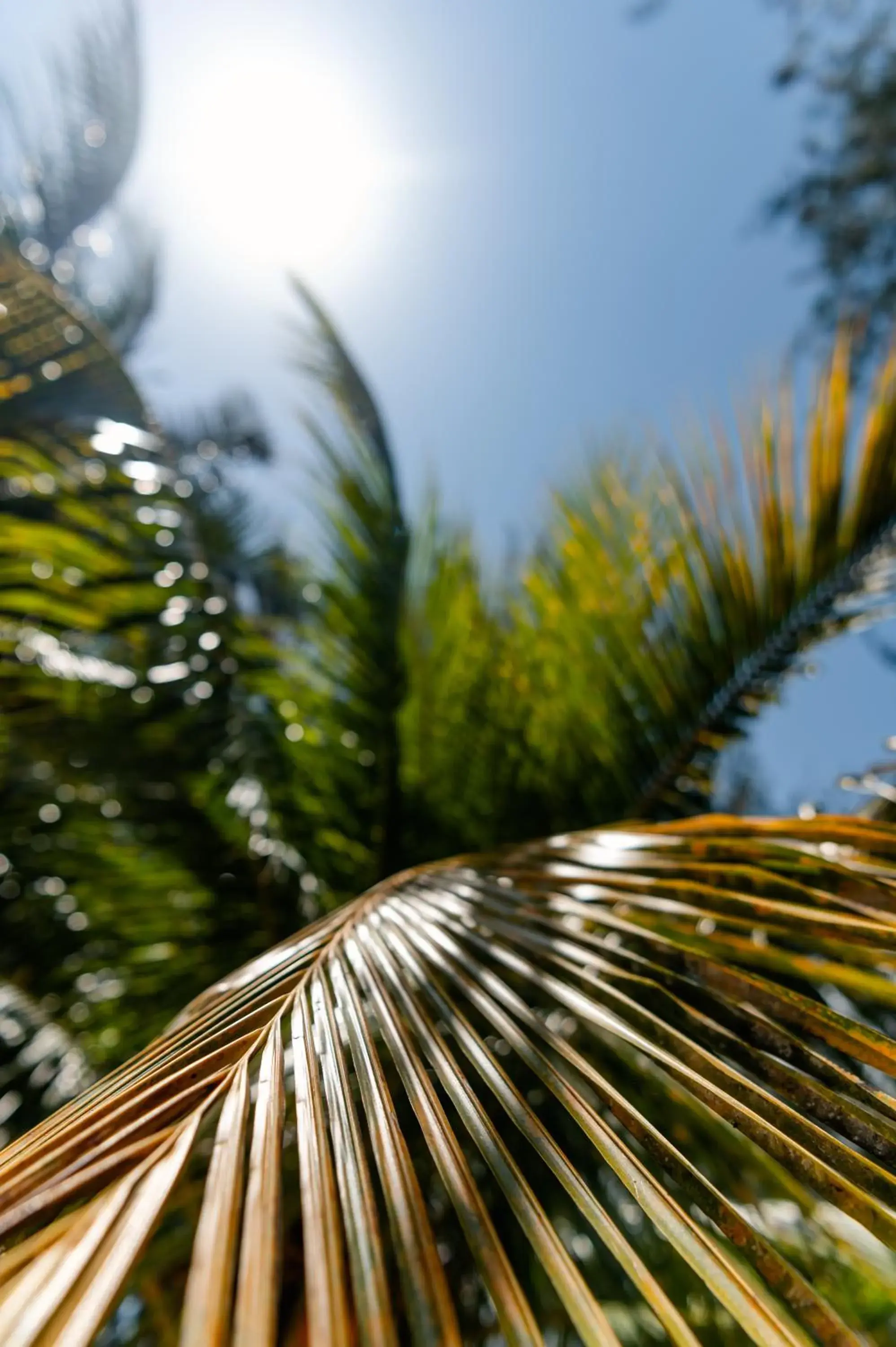 Natural landscape in Hakuna Majiwe Beach Lodge Zanzibar