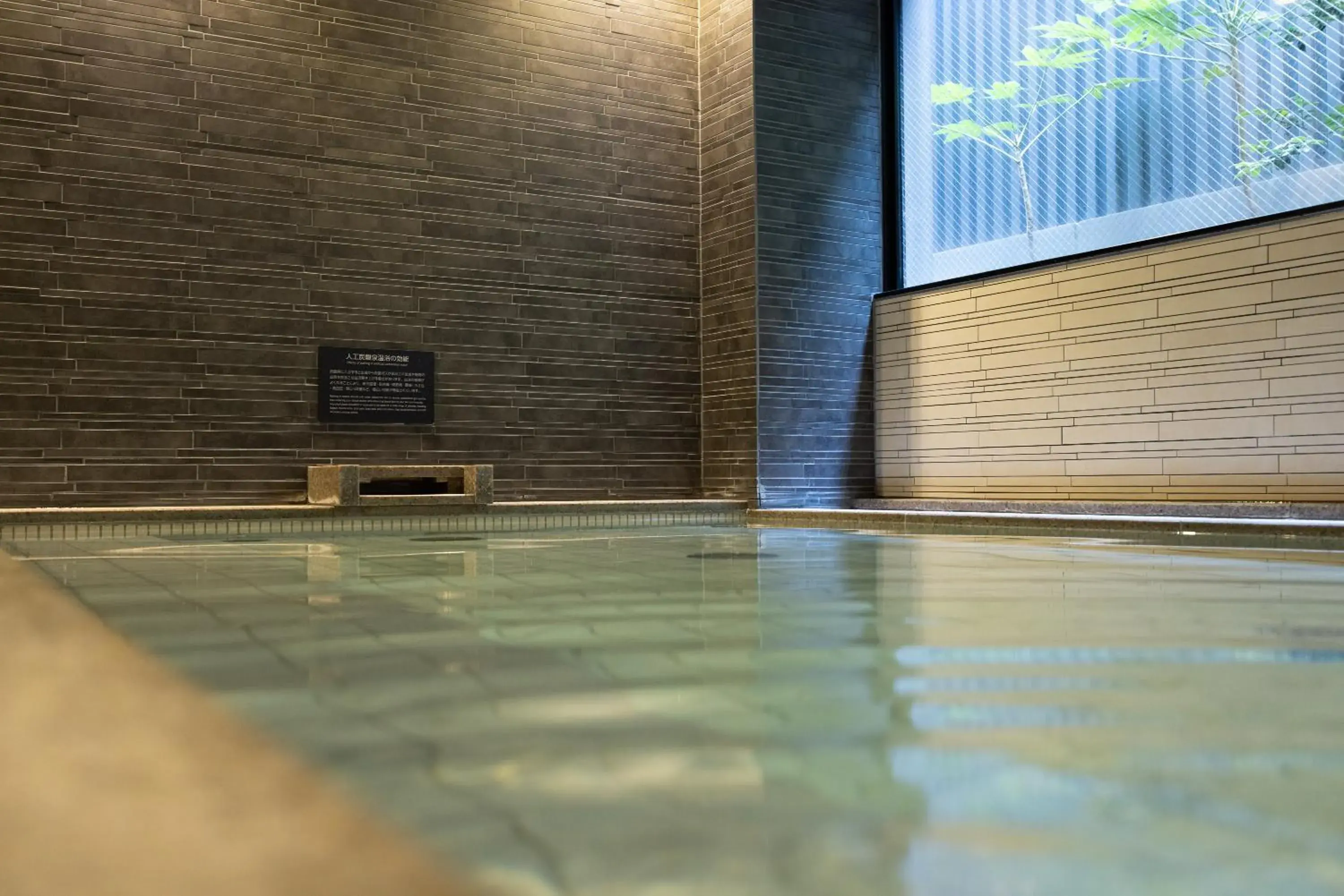 Spa and wellness centre/facilities, Swimming Pool in Mitsui Garden Hotel Kyoto Shinmachi Bettei