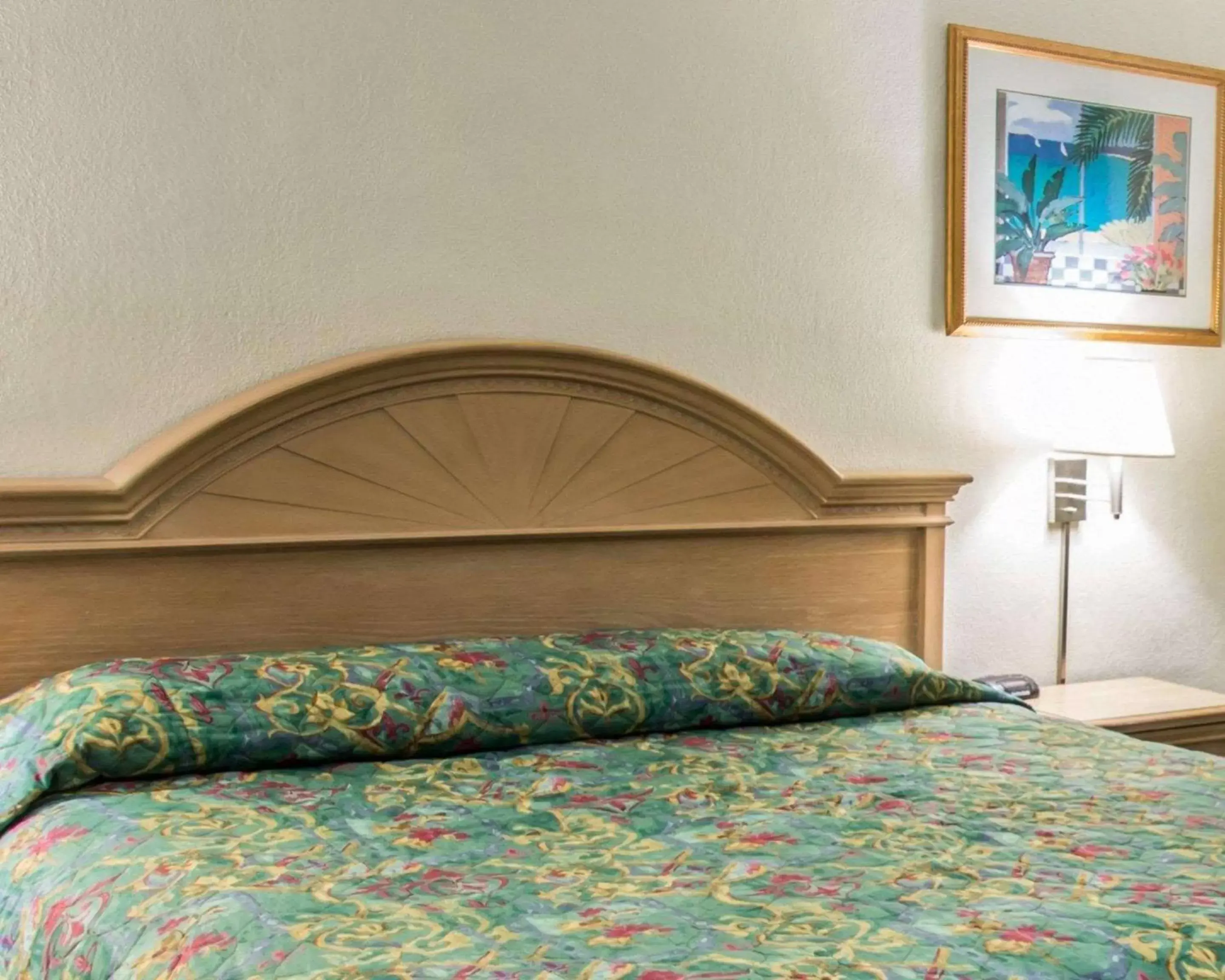 Photo of the whole room, Bed in Rodeway Inn Fort Pierce US Highway 1