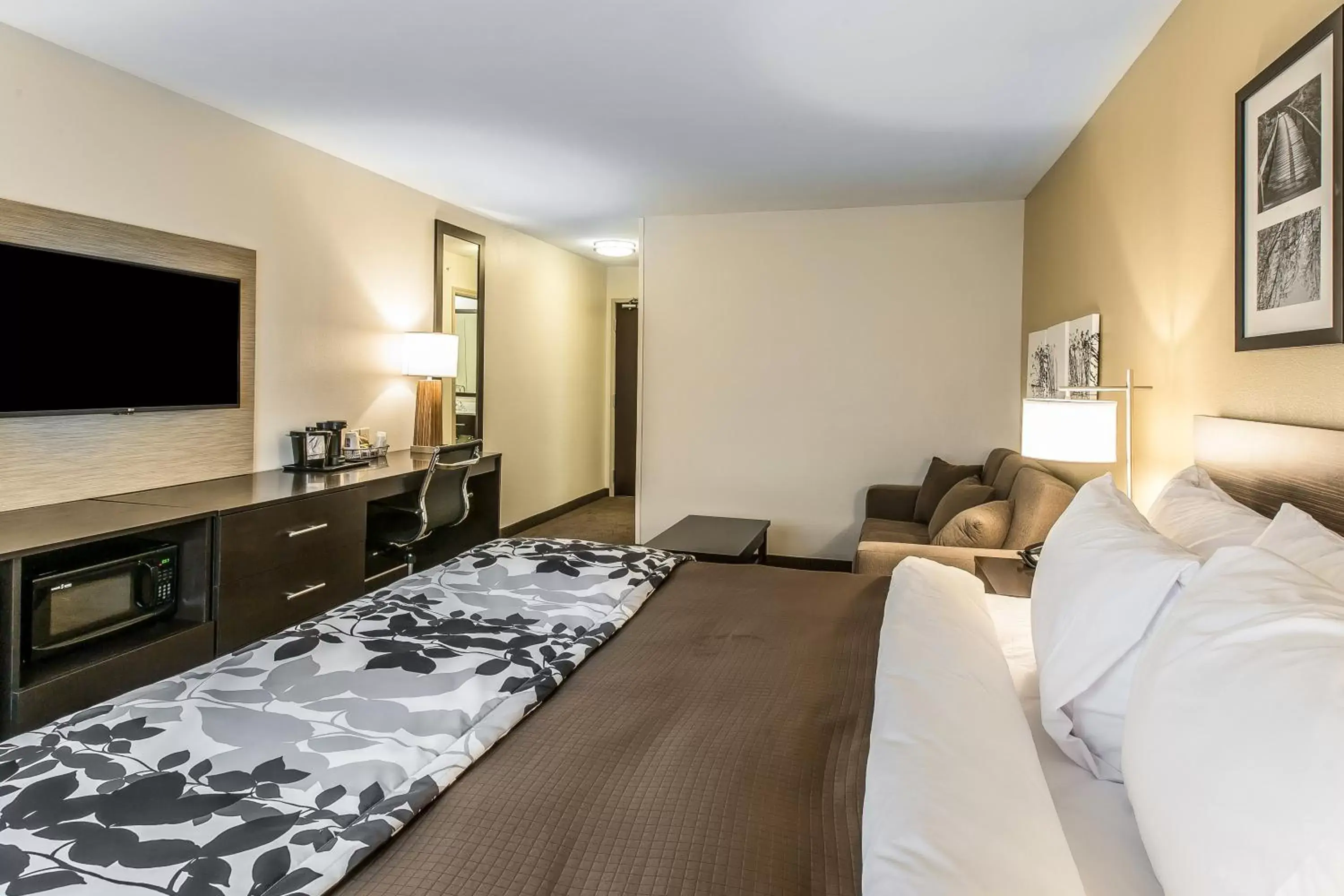 TV and multimedia, Bed in Sleep Inn & Suites Jasper I-22