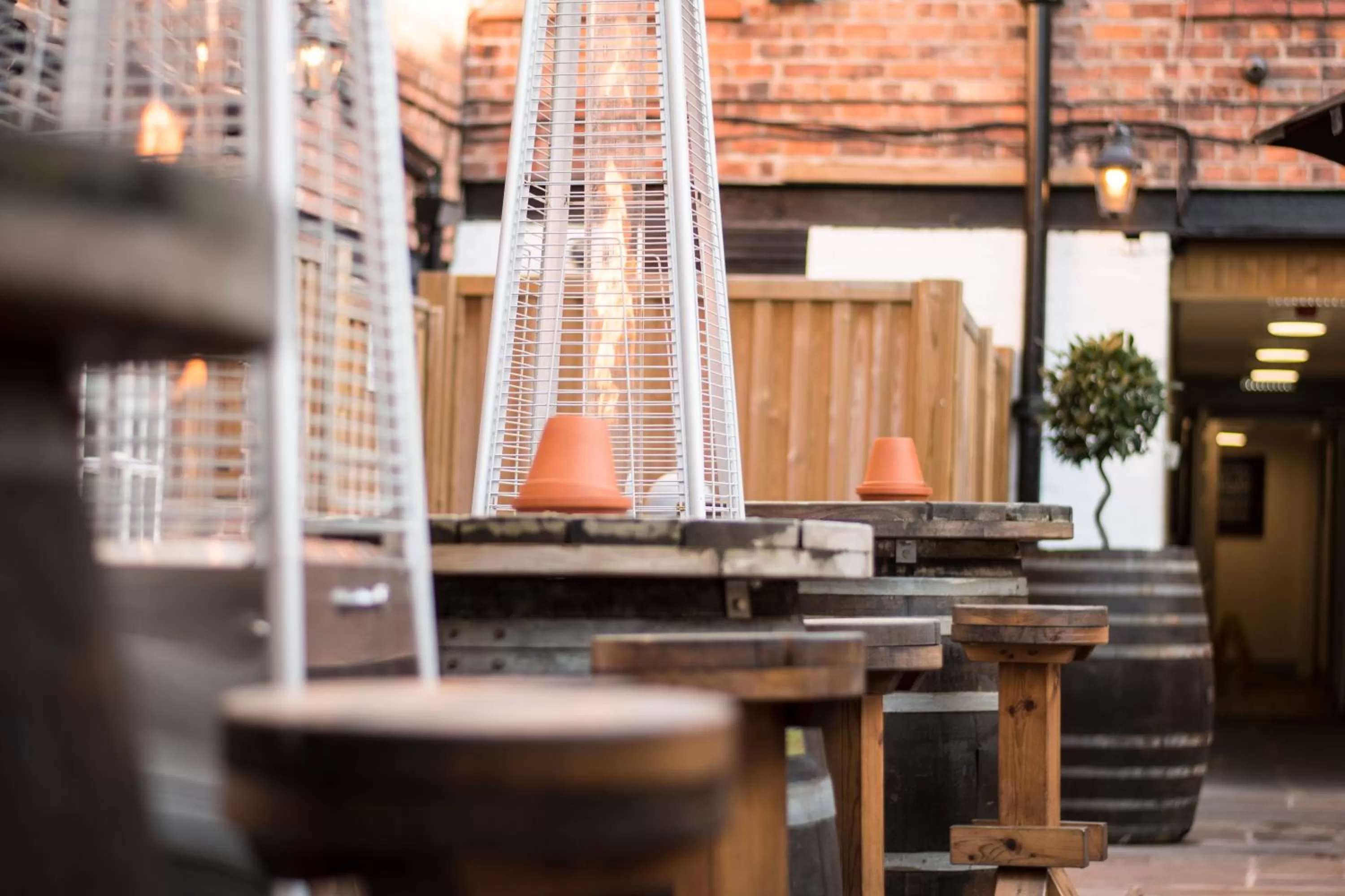 Garden in The Pied Bull