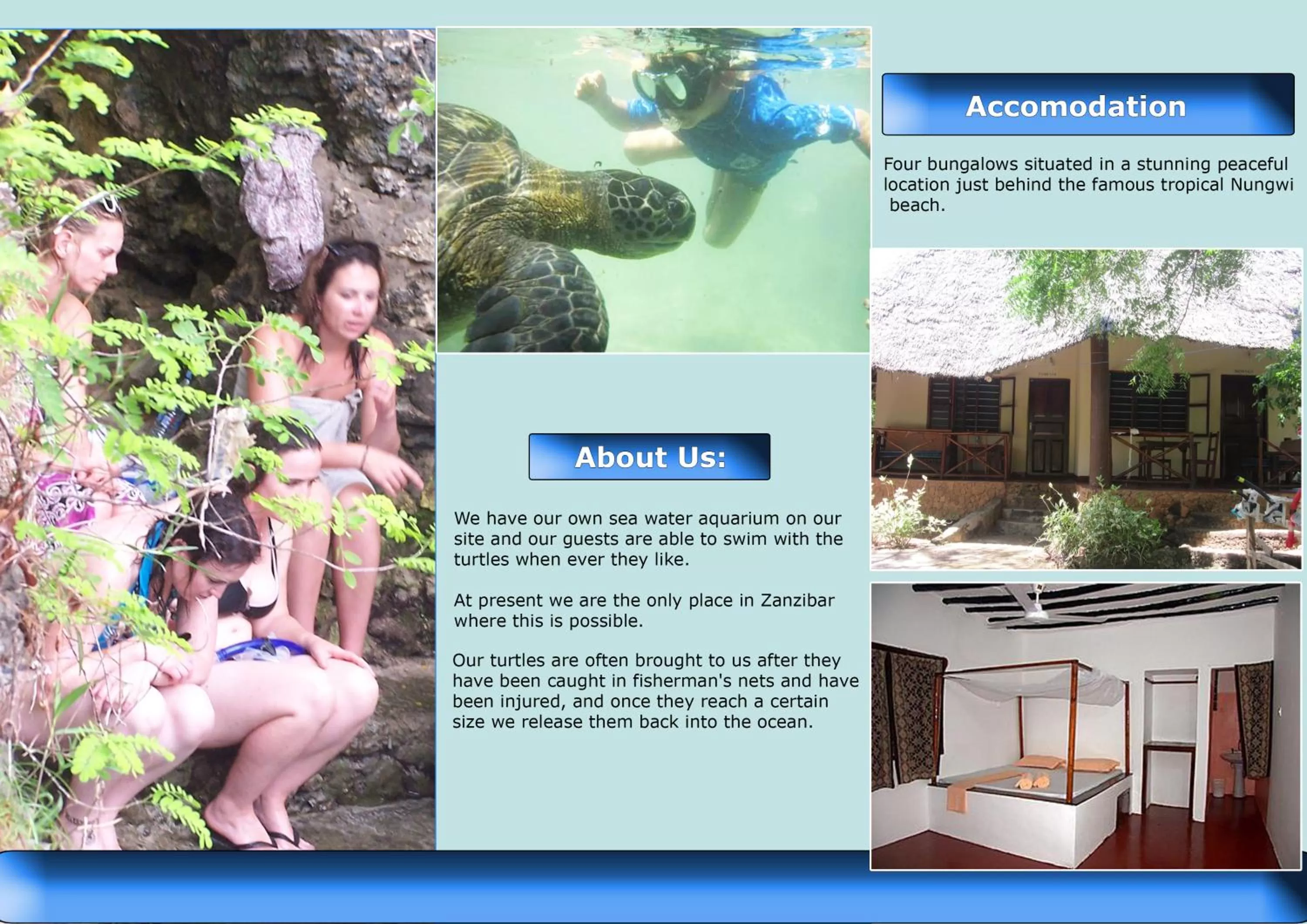 Baraka Aquarium Bungalows