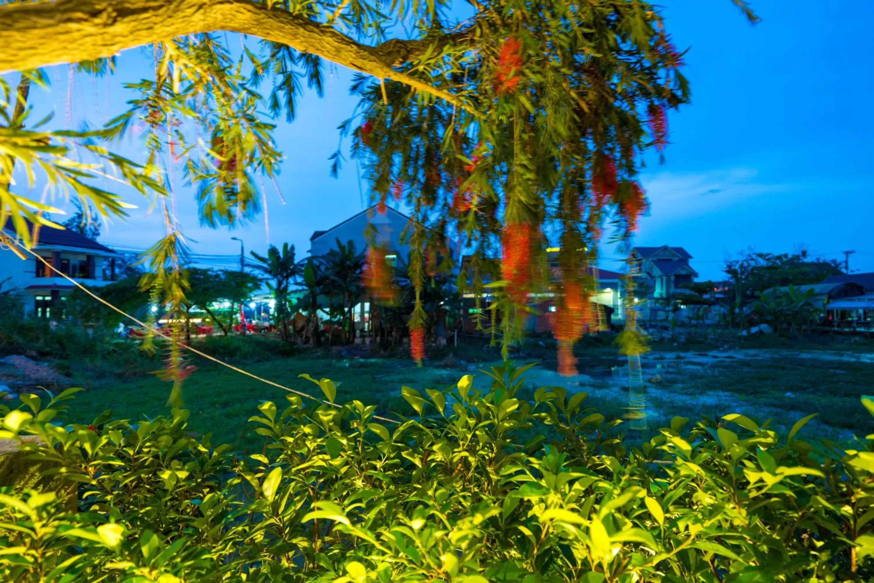 Garden view, Garden in ZEN Boutique Hoi An