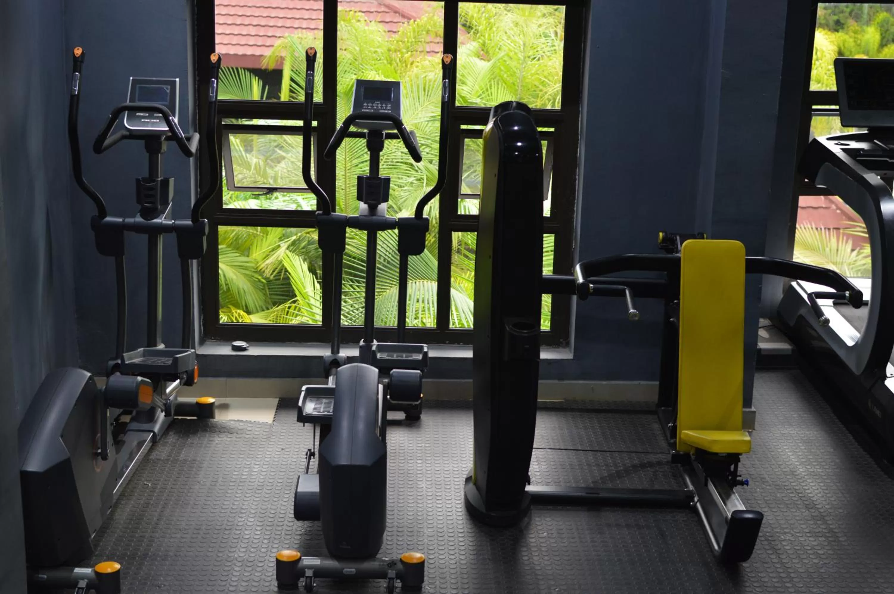 Fitness centre/facilities in Palm Kalash Hotel