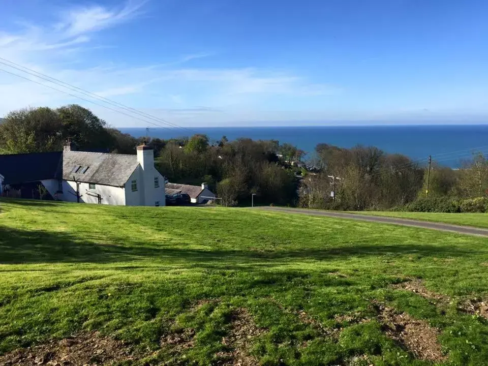 Natural landscape in Bryn Goleu Bed & Breakfast