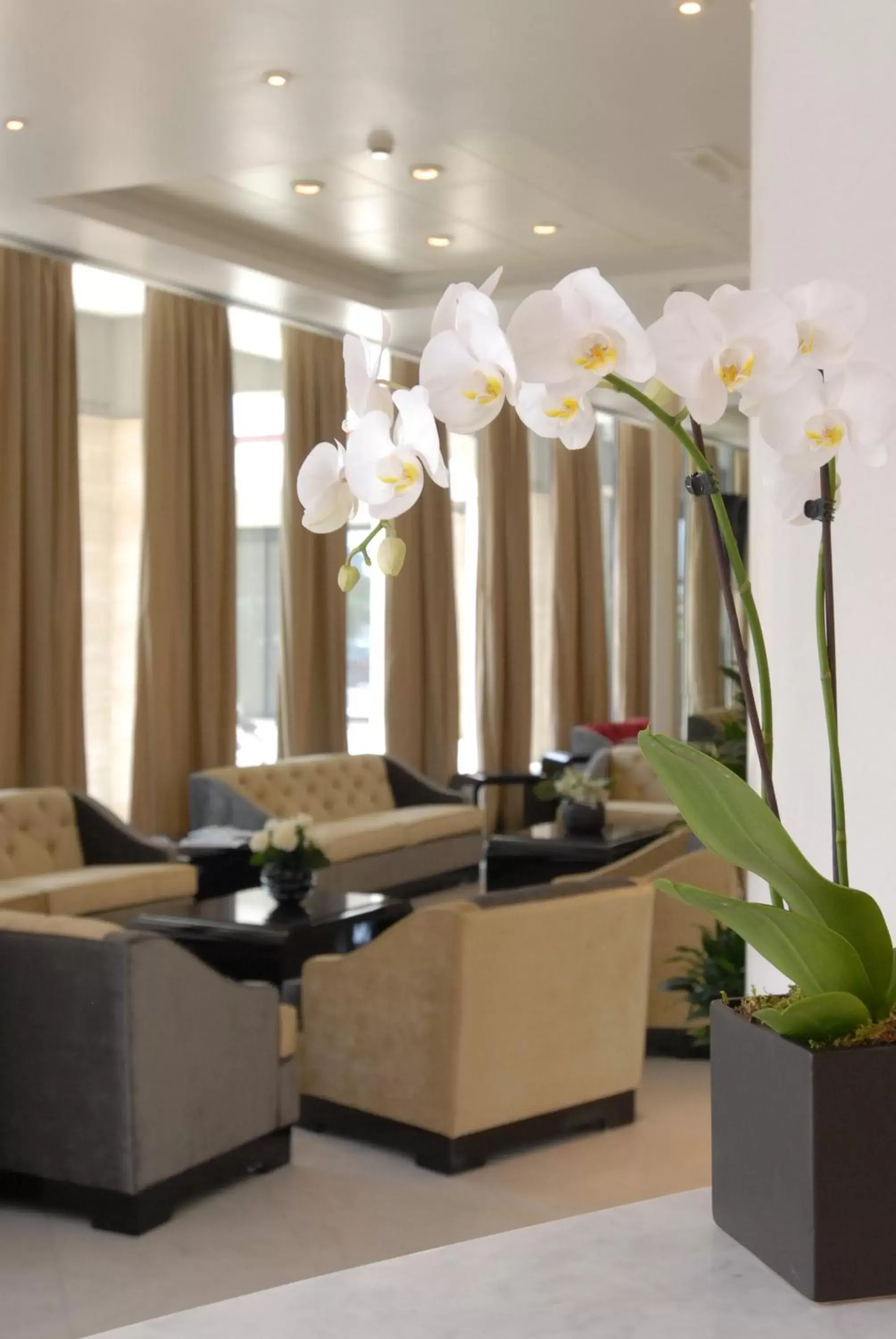 Lobby or reception in Grand Hotel Duca Di Mantova Lobby or reception in Grand Hotel Duca Di Mantova