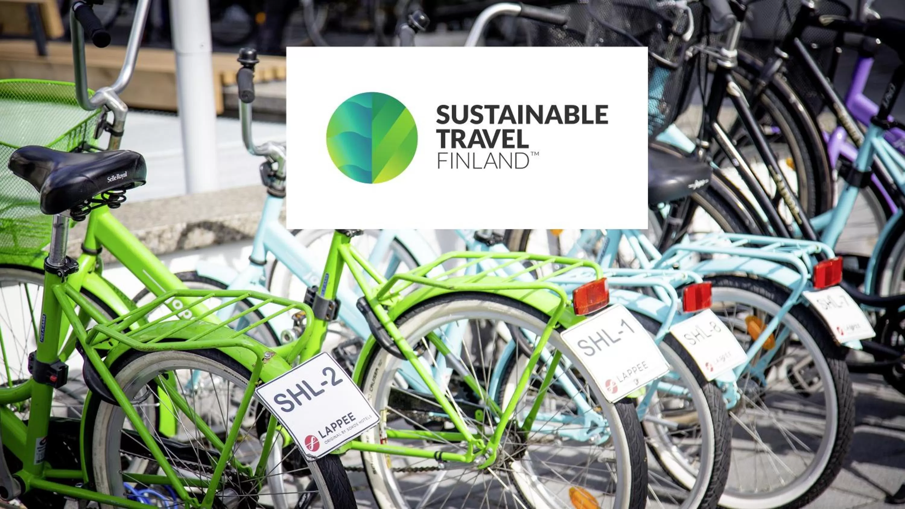 Activities in Original Sokos Hotel Lappee