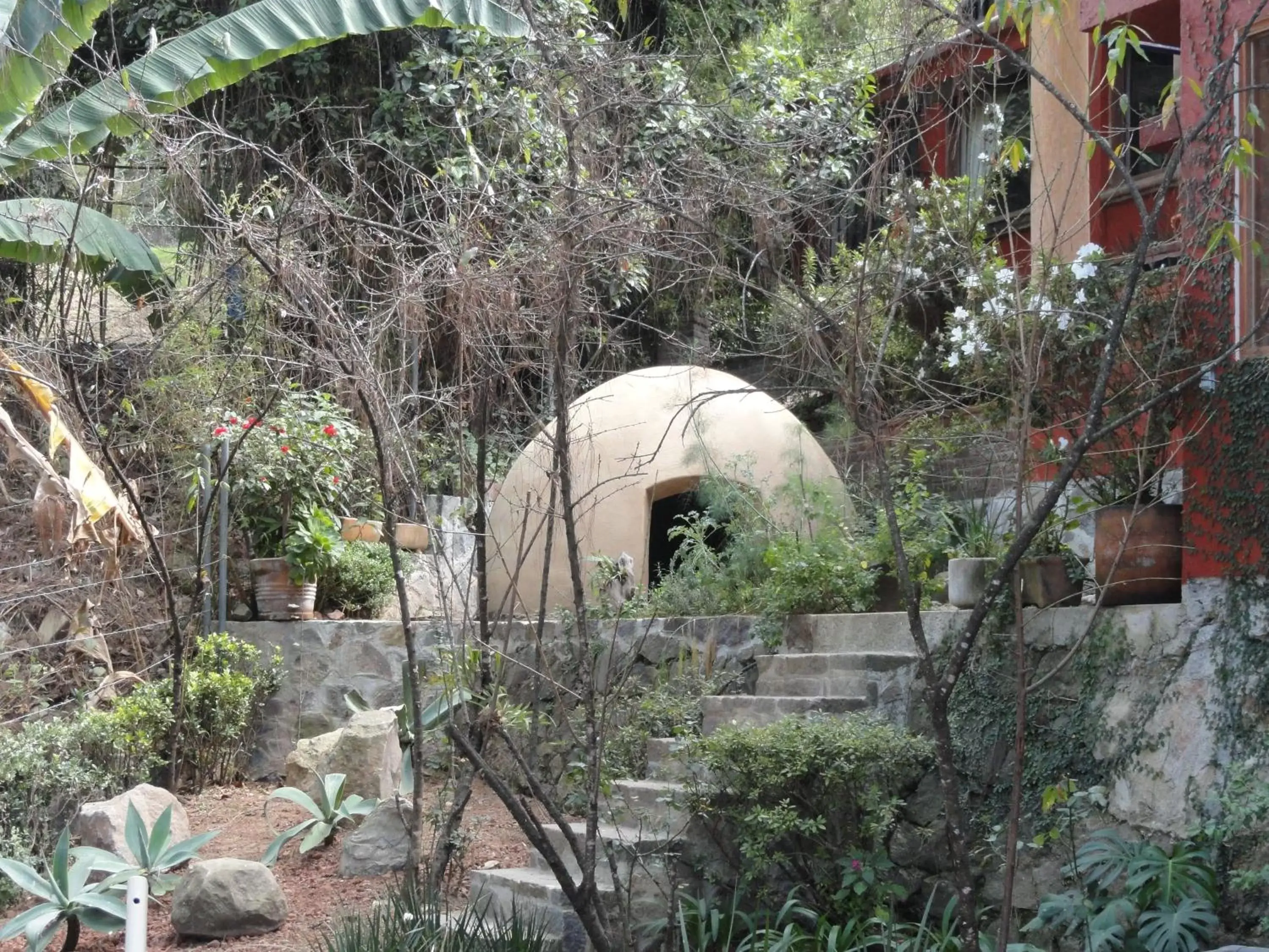 Garden in La Casa del Rio