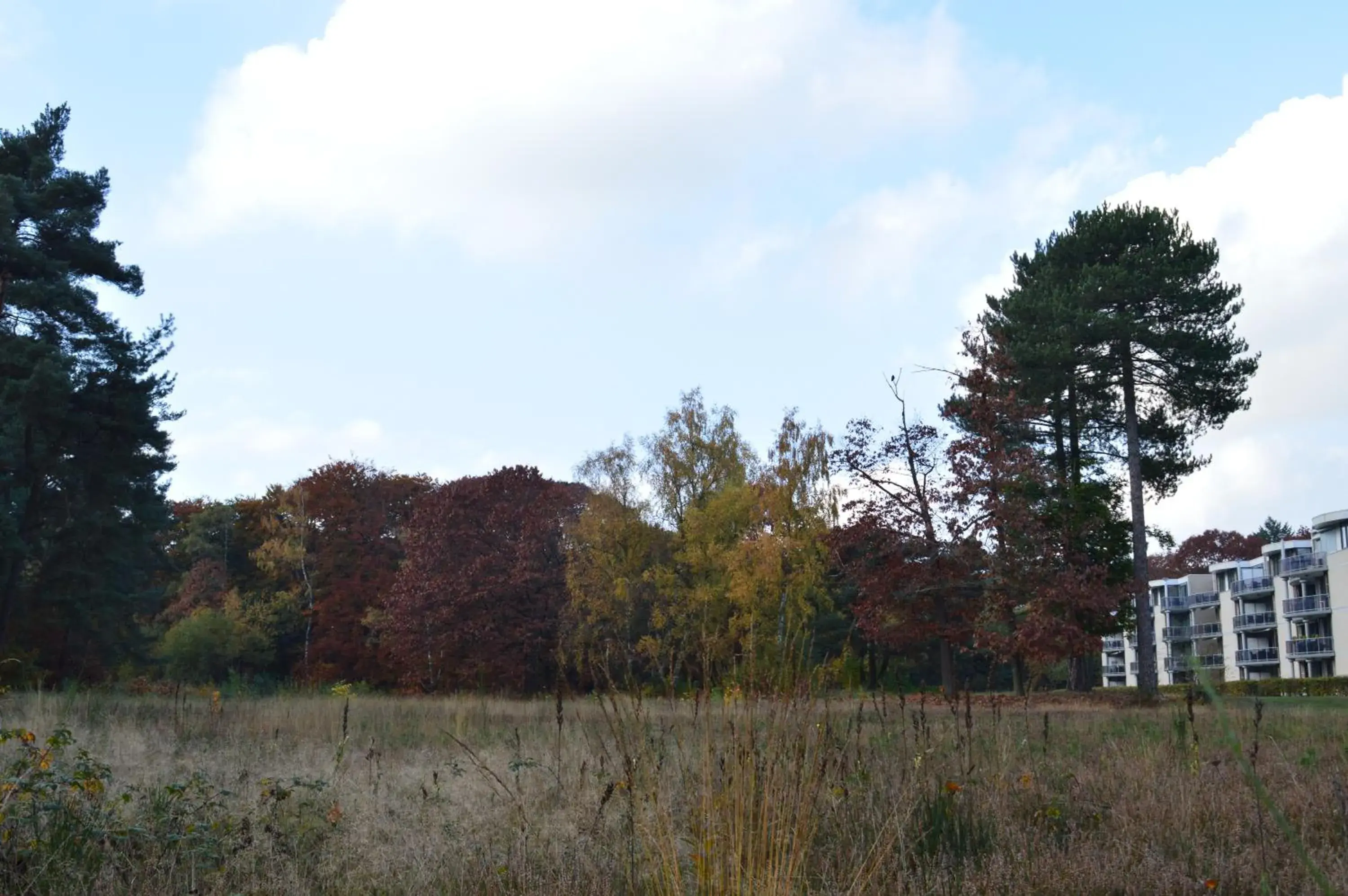 Natural landscape in Resort Bad Boekelo