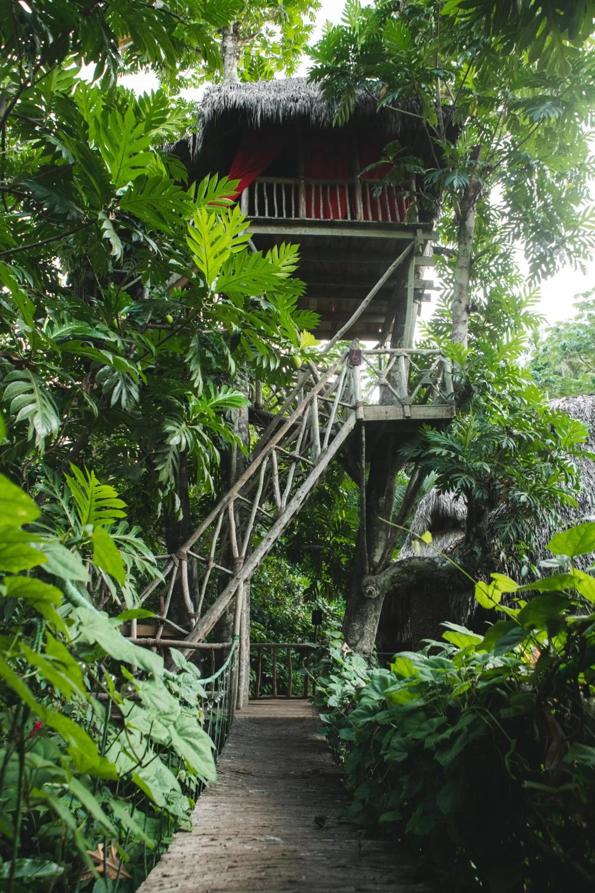 Natural landscape in Dominican Tree House Village