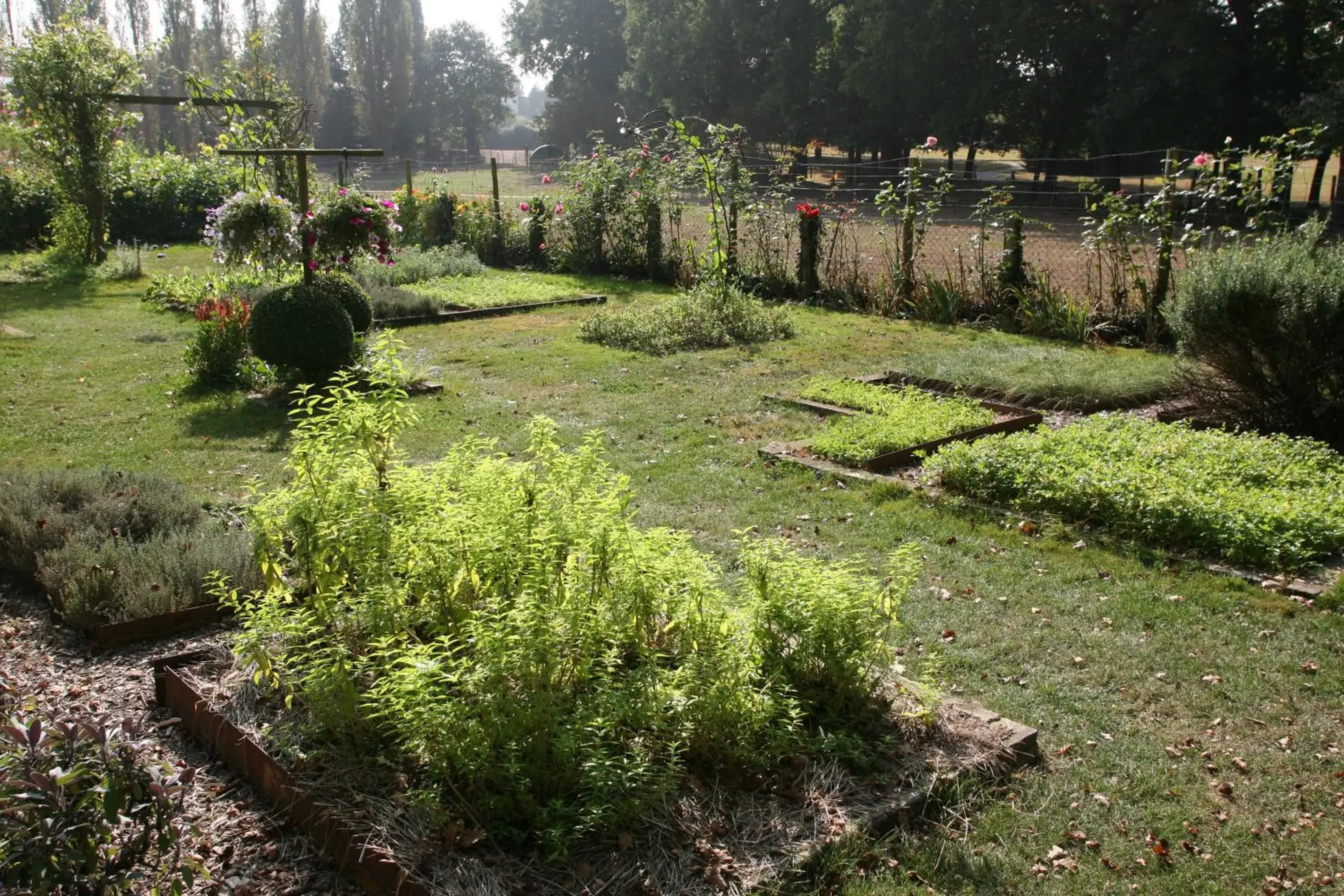 Garden in Logis Ar Milin