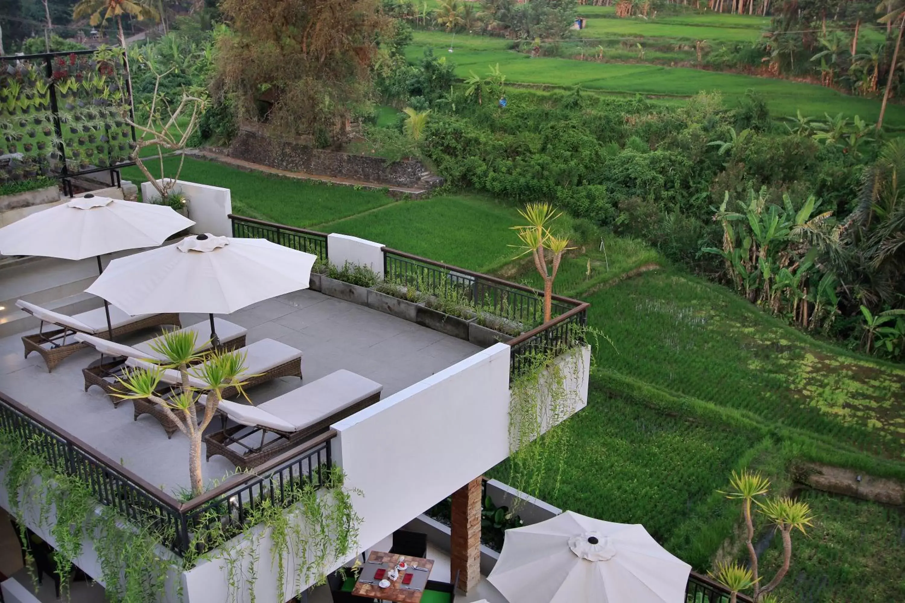 Natural landscape in Puri Padma Hotel