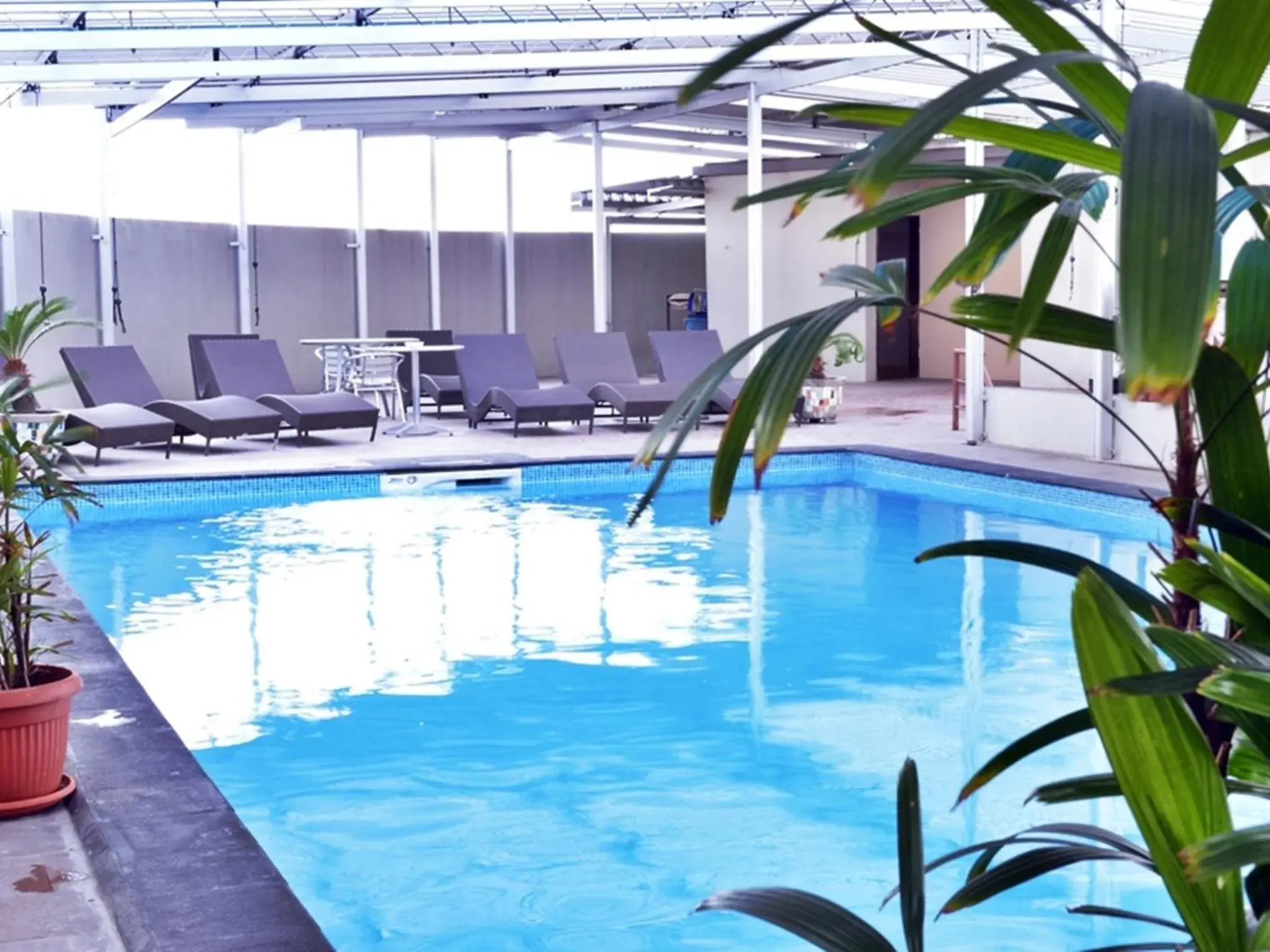 Swimming Pool in Grand Elite Hotel