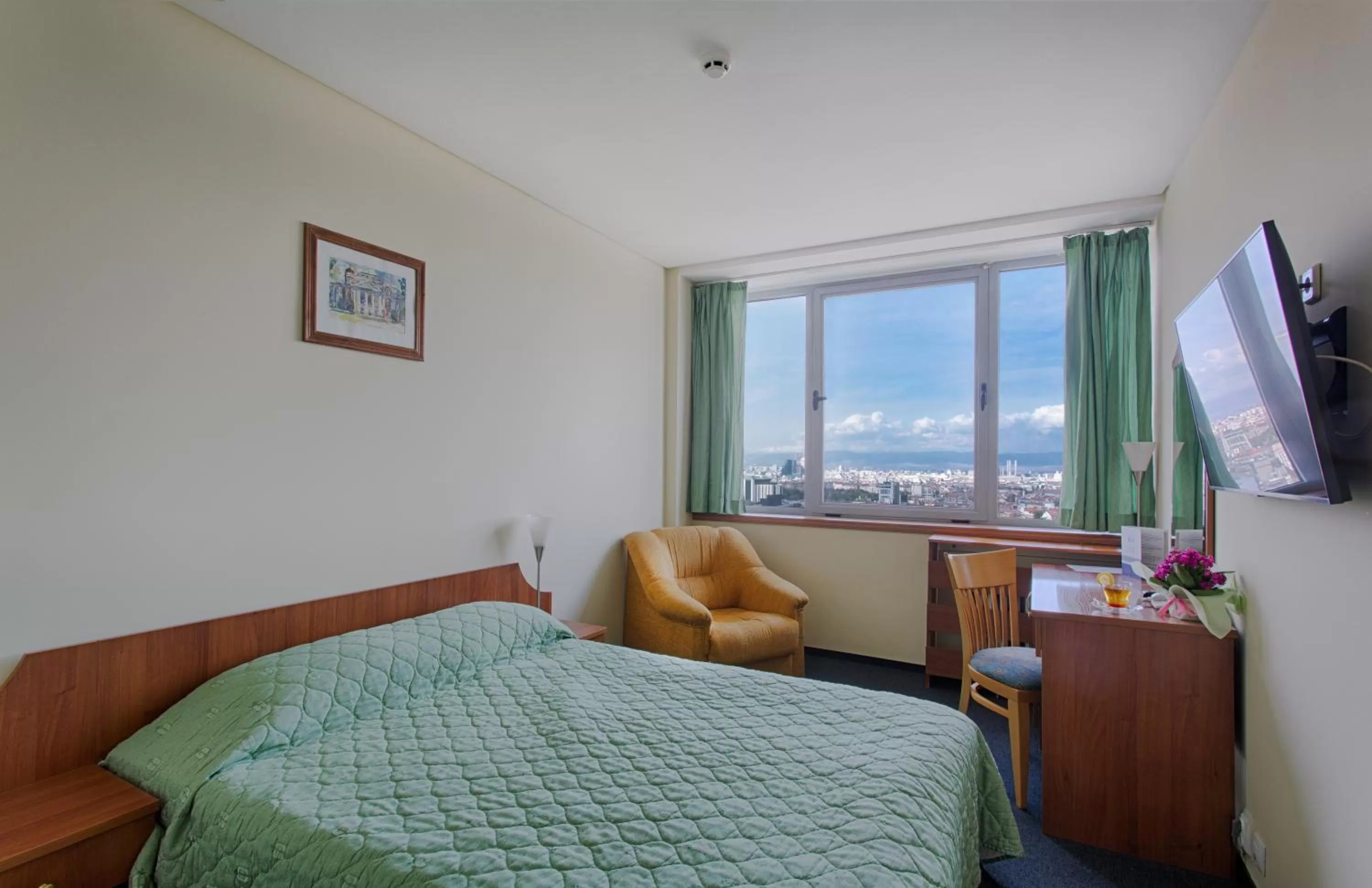 View (from property/room), Bed in Hemus Hotel Sofia