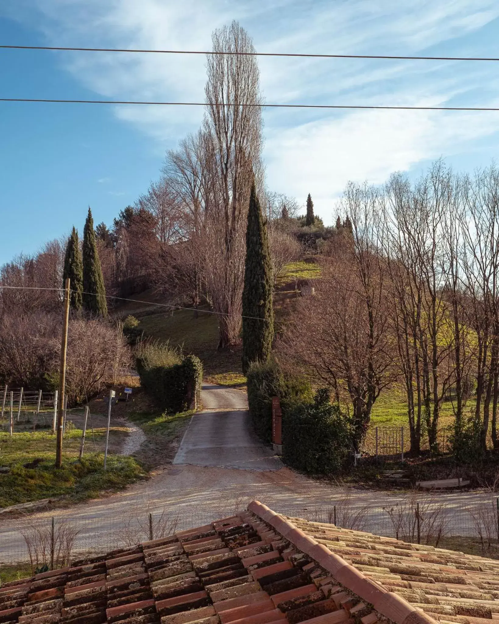 La Vigna di Sarah