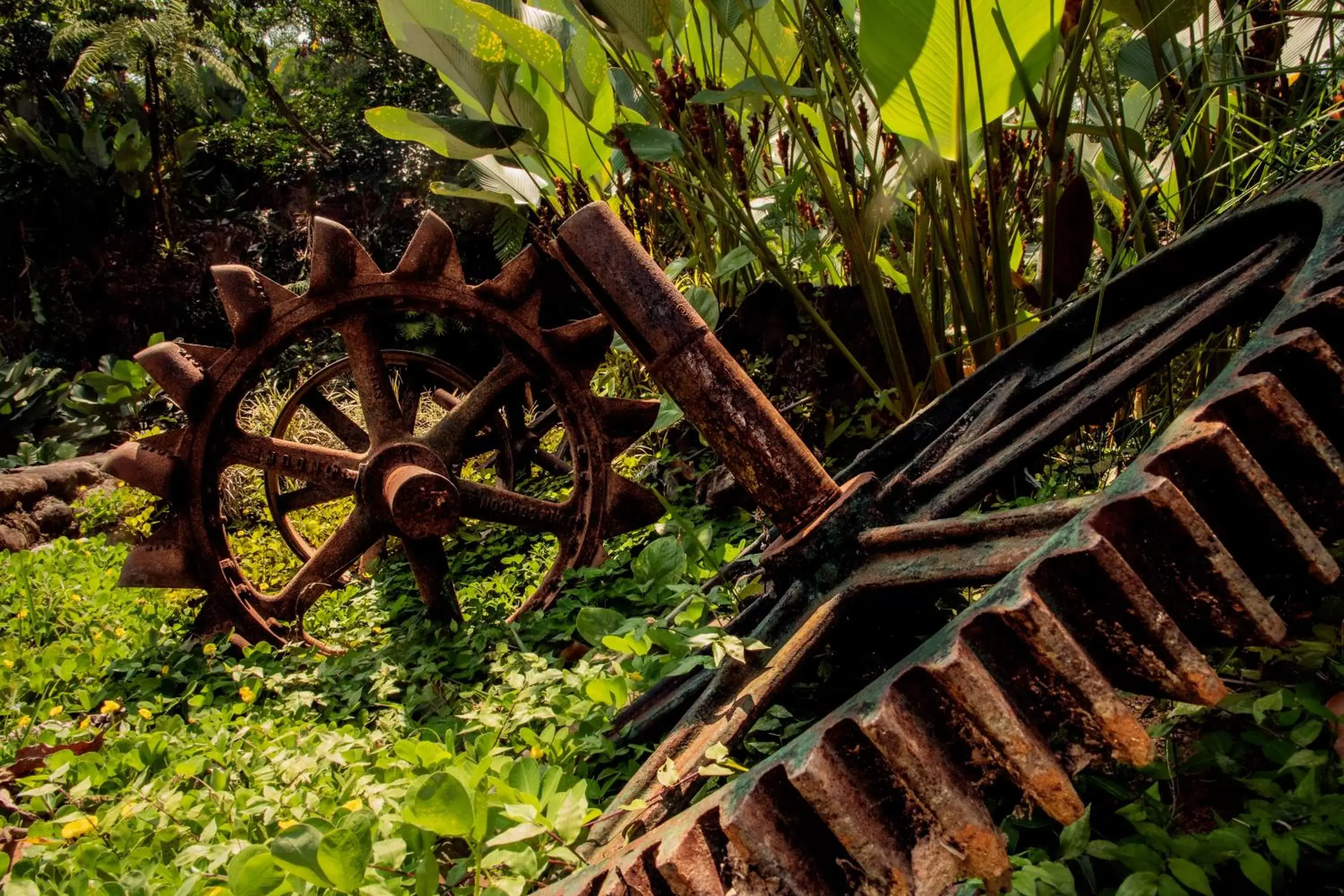 Decorative detail in Argovia Finca Resort