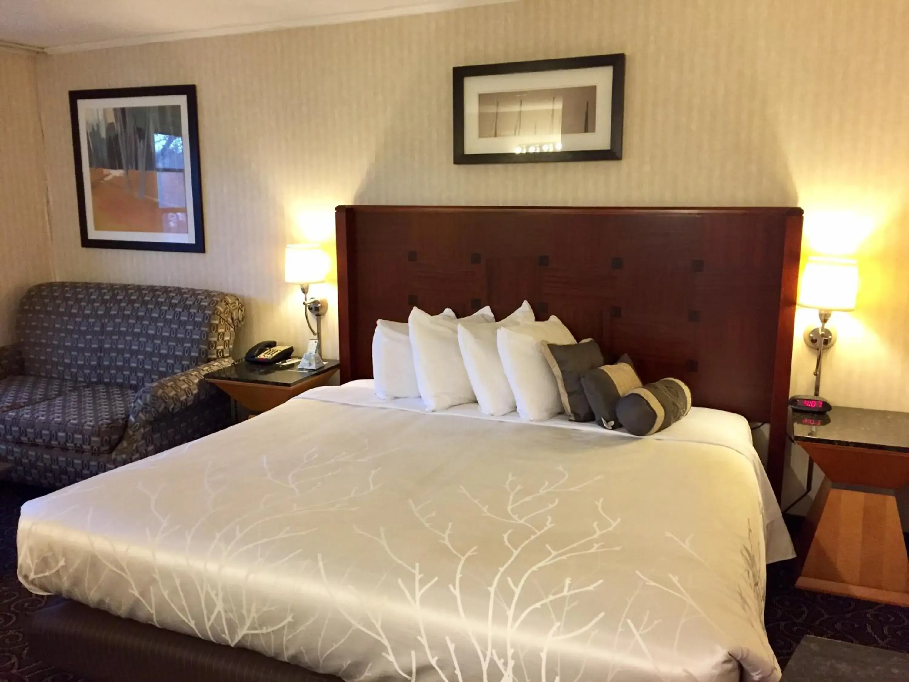 Photo of the whole room, Bed in The Black Mountain Inn Photo of the whole room, Bed in The Black Mountain Inn