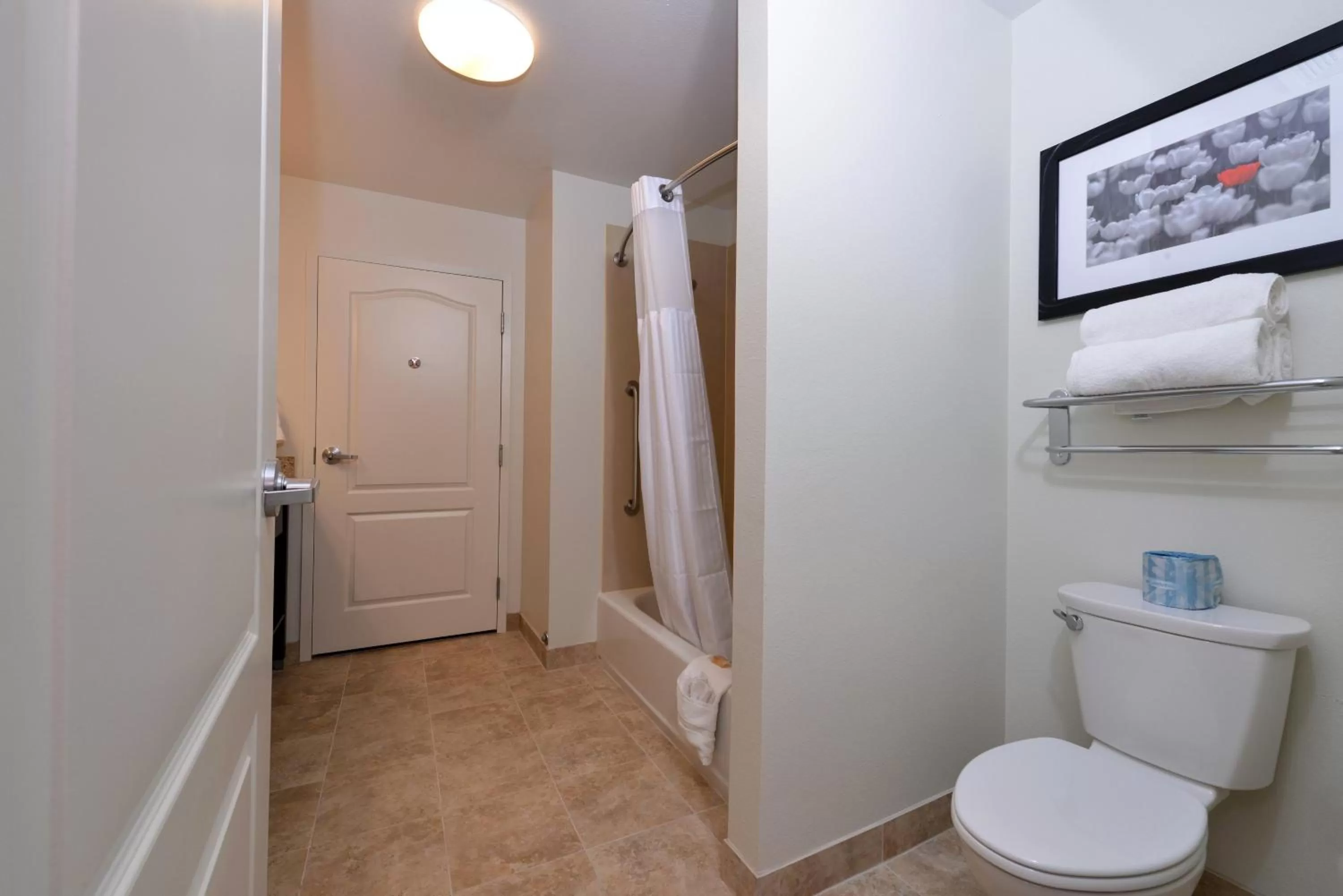 Bathroom in Holiday Inn Express & Suites - Effingham by IHG