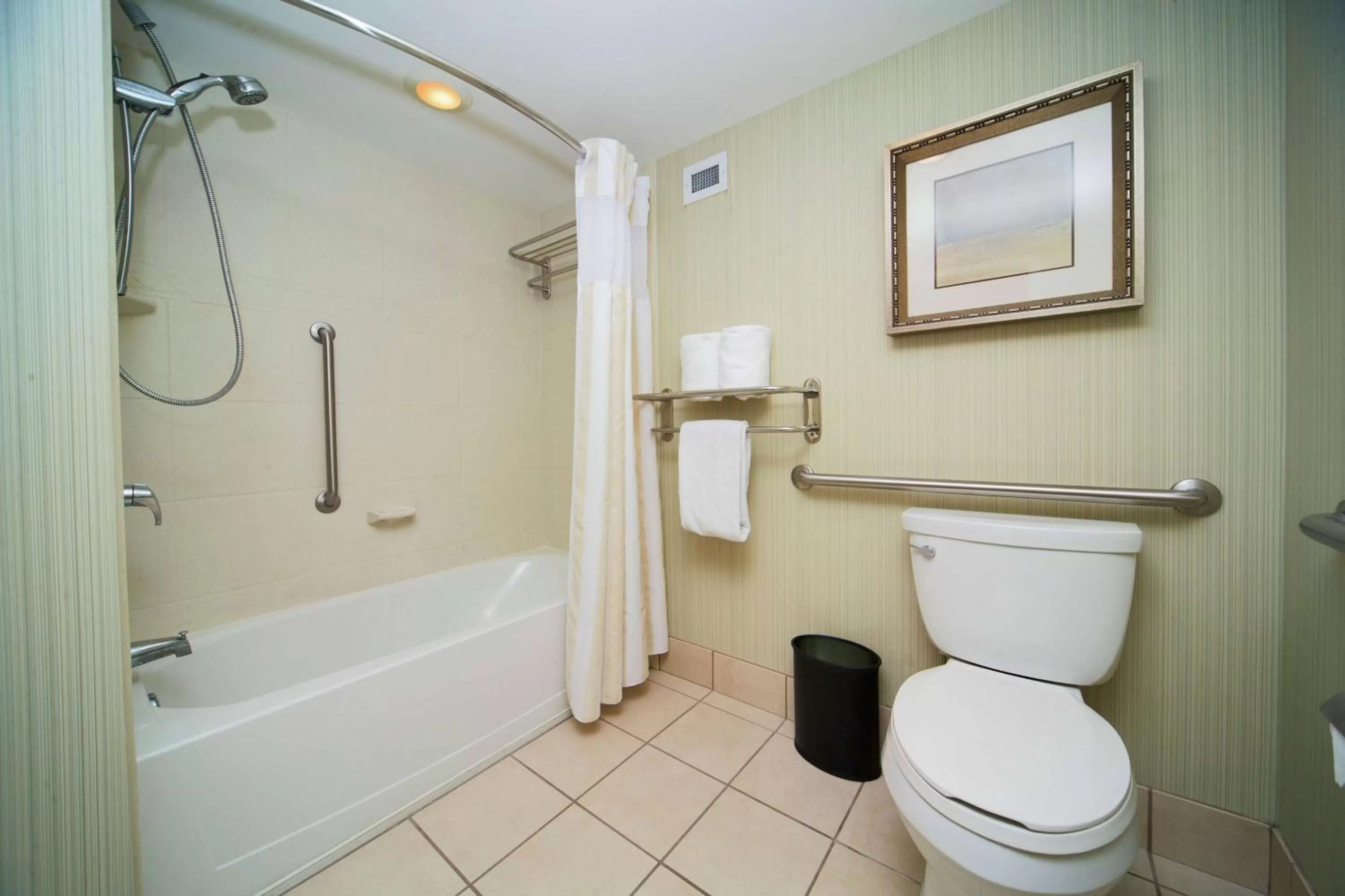 Bathroom in Hilton Garden Inn Valdosta