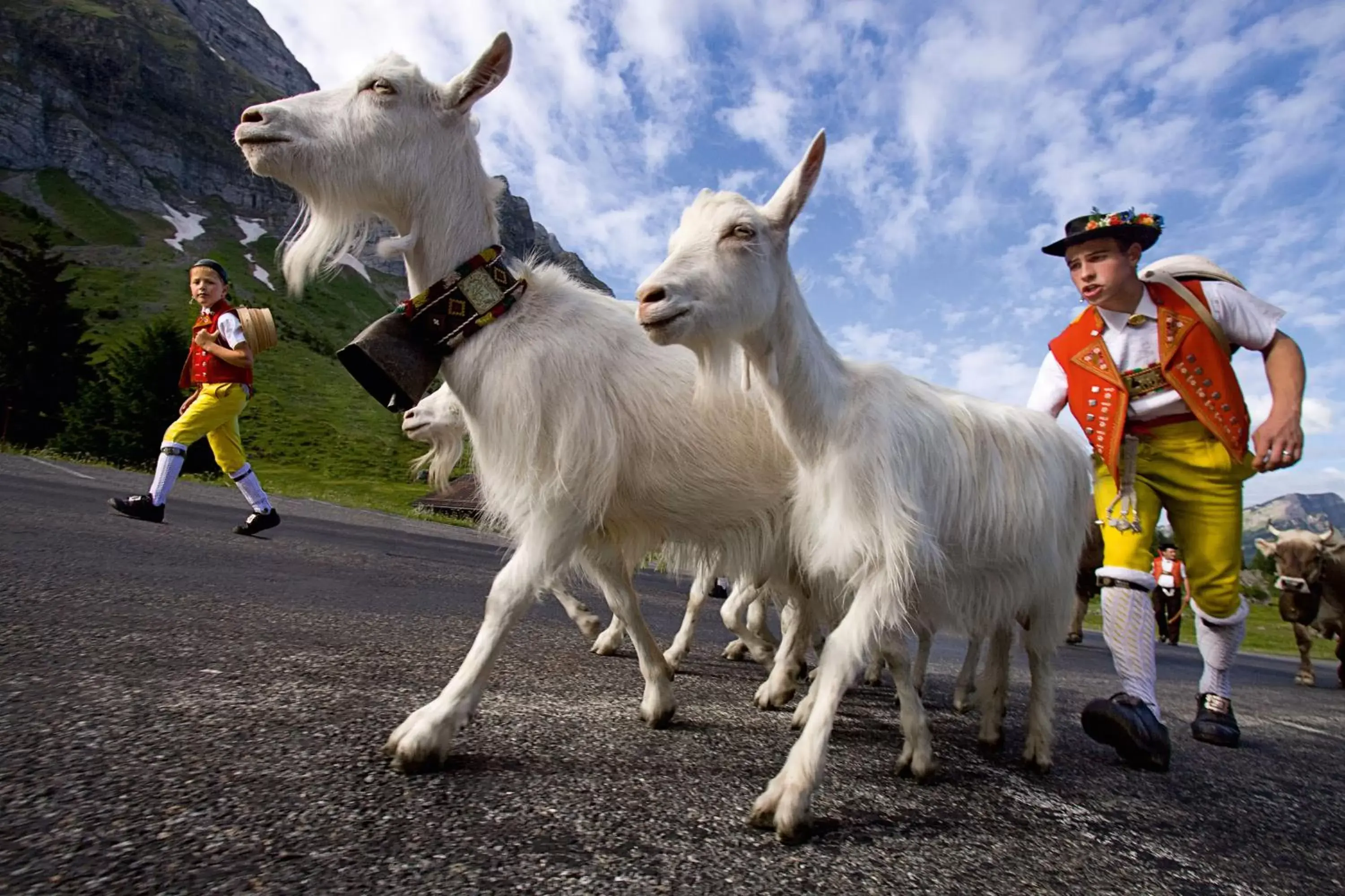 Nearby landmark, Other Animals in Hotel Landhaus Säntis Herisau