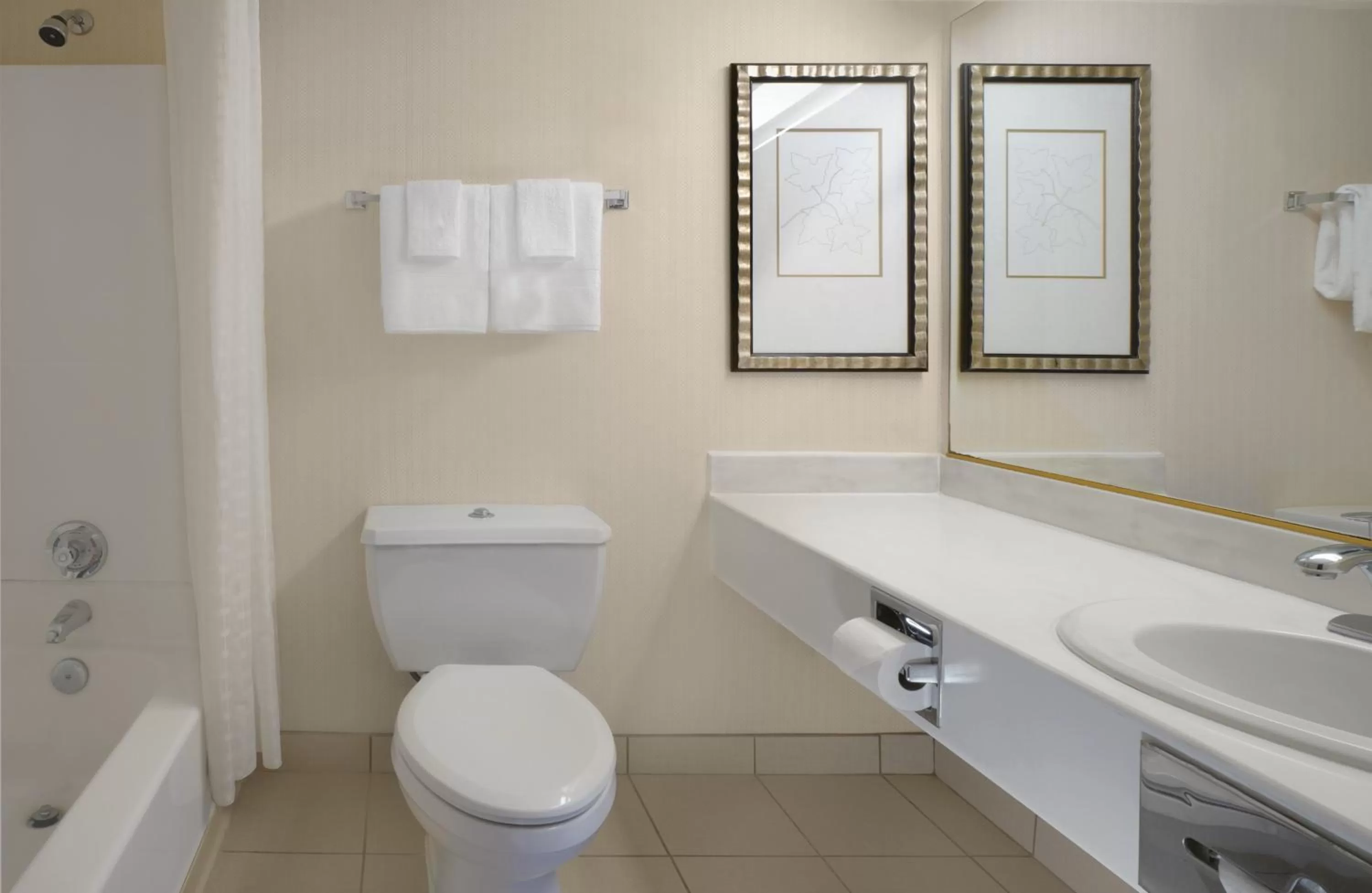 Bathroom in Circus Circus Hotel, Casino & Theme Park